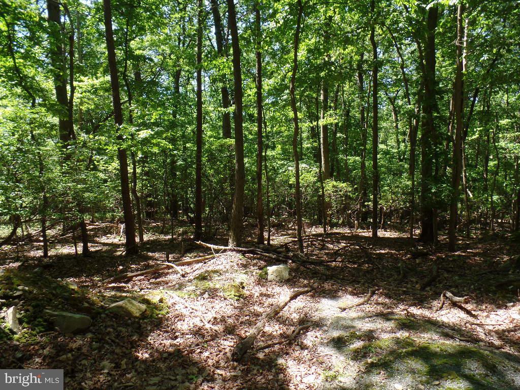 140 Etzler Road Frederick, MD 21702 - Photo 9 of 19