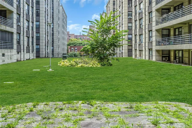 a view of a backyard with plants
