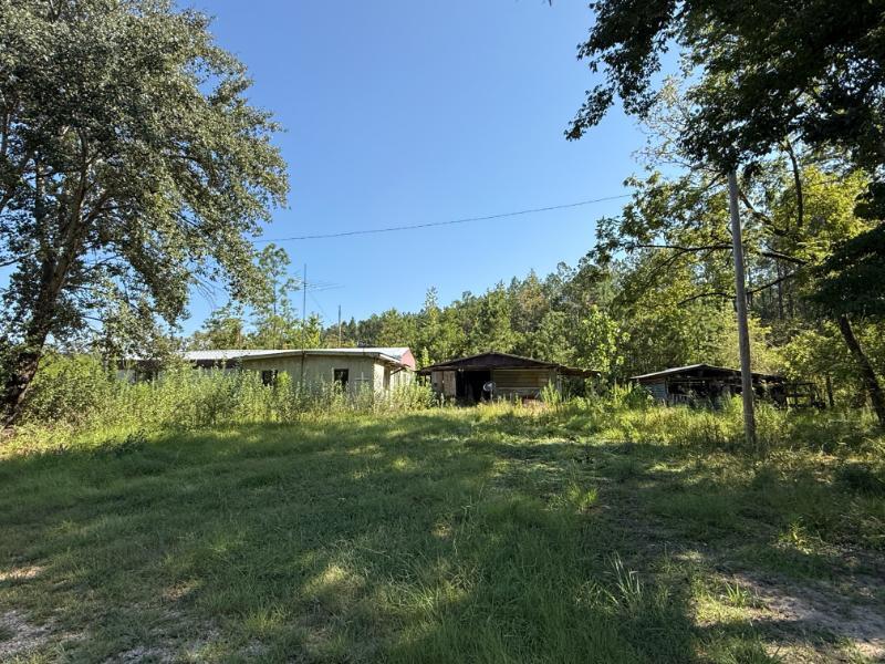 Pate Road Tremont, MS 38876 - Photo 5 of 14 Gallery Image 5