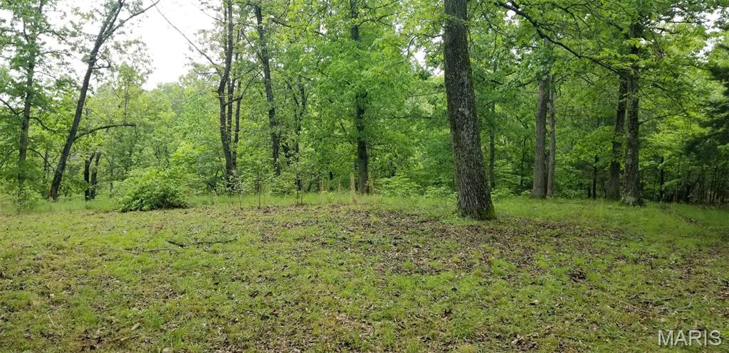 12-acres Landing Trail Lebanon, MO 65536 - Photo 4 of 6