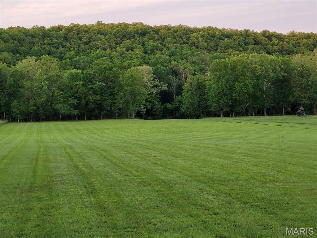 12-acres Landing Trail Lebanon, MO 65536 - Photo 5 of 6