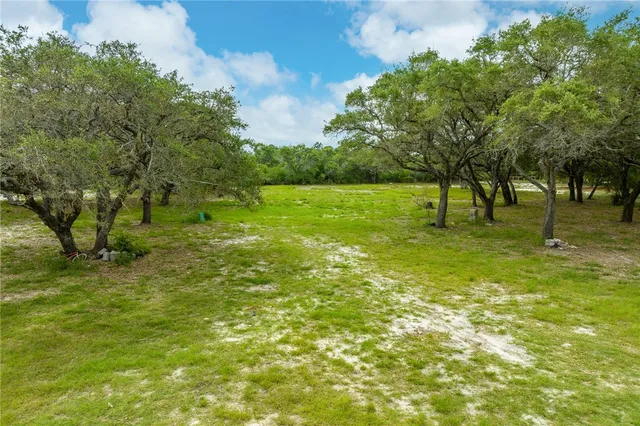 a view of field with trees