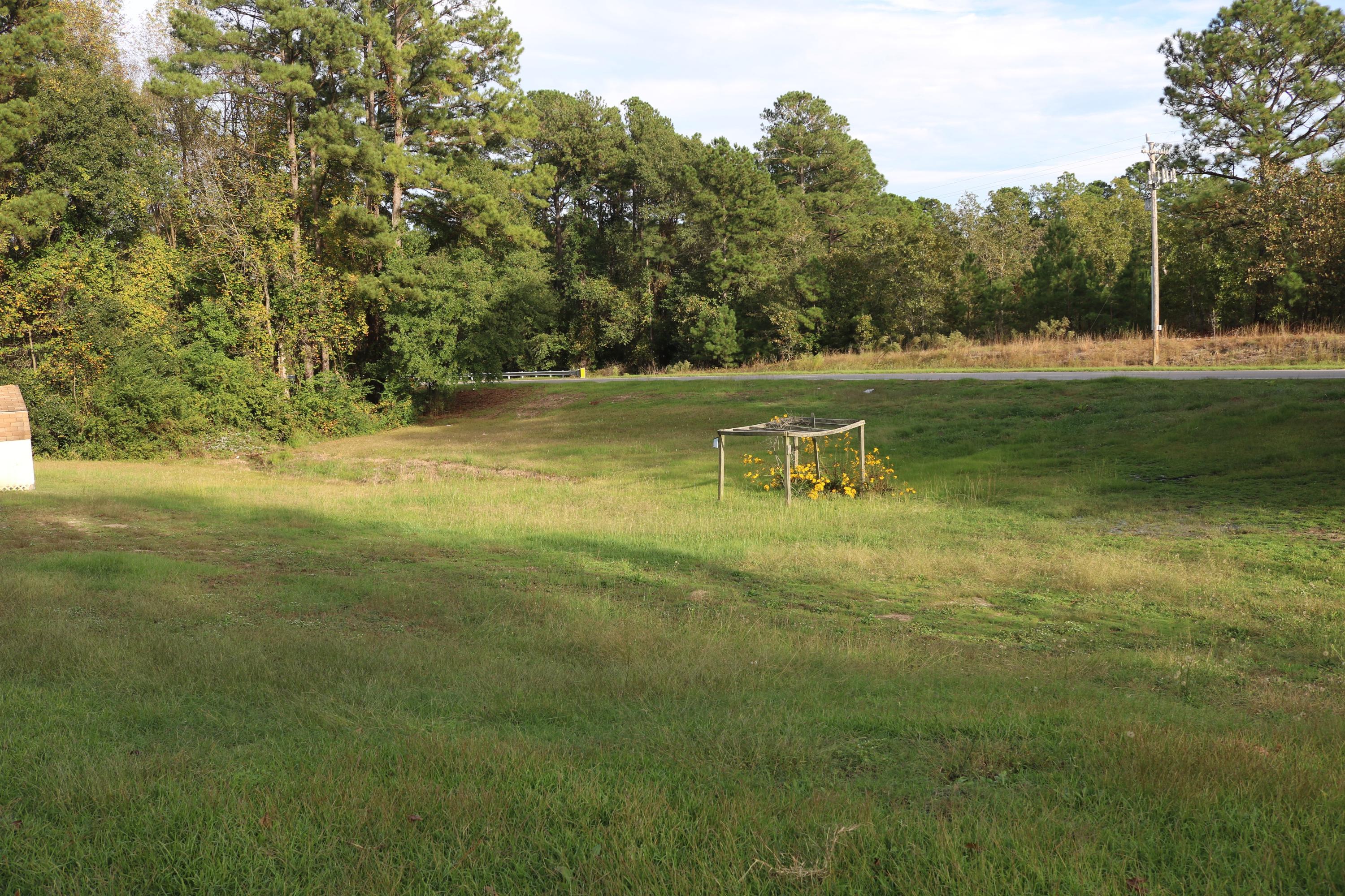 162 Branch Trail Rockingham, NC 28379 - Photo 20 of 22 IMG_1549