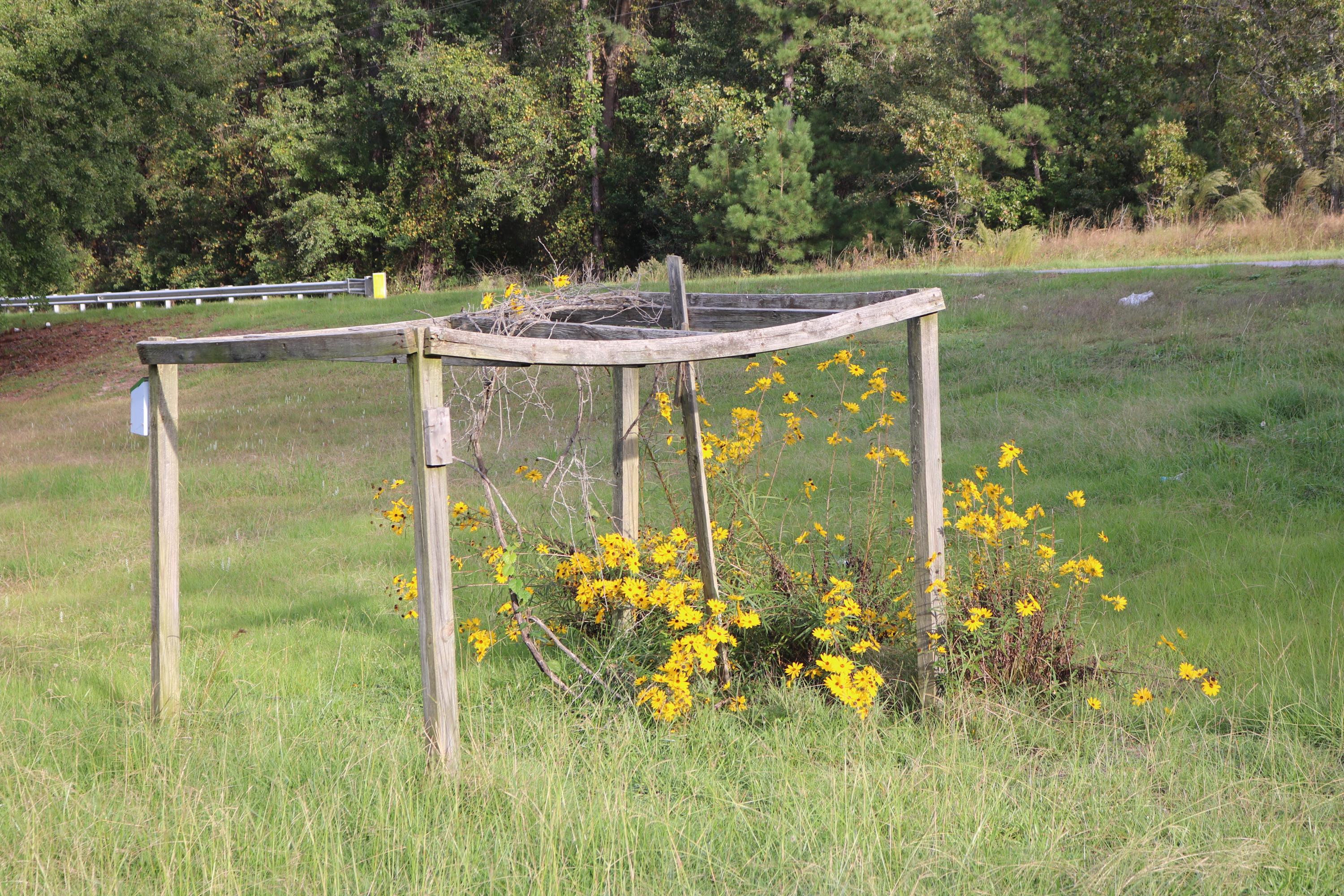 162 Branch Trail Rockingham, NC 28379 - Photo 21 of 22 IMG_1550
