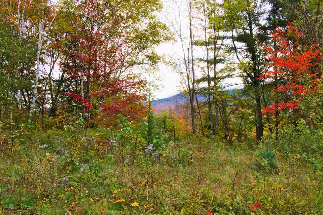 0 Sugar Hill Road Franconia, NH 03580 - Photo 1 of 13 Gallery Image 1