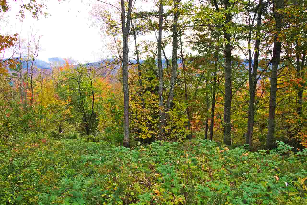 0 Sugar Hill Road Franconia, NH 03580 - Photo 4 of 13 Gallery Image 4
