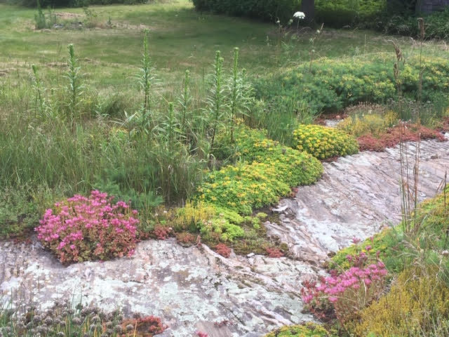 117 Pleasant Point Road Cushing, ME 04563 - Photo 4 of 20 Hardscape(3)