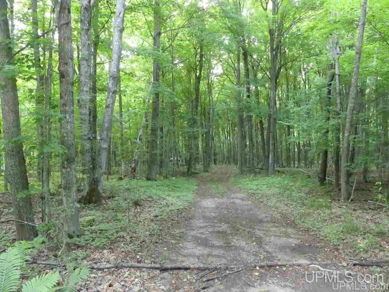 1 County Road 58 Road Grand Marais, MI 49839 - Photo 21 of 25 Gallery Image 21