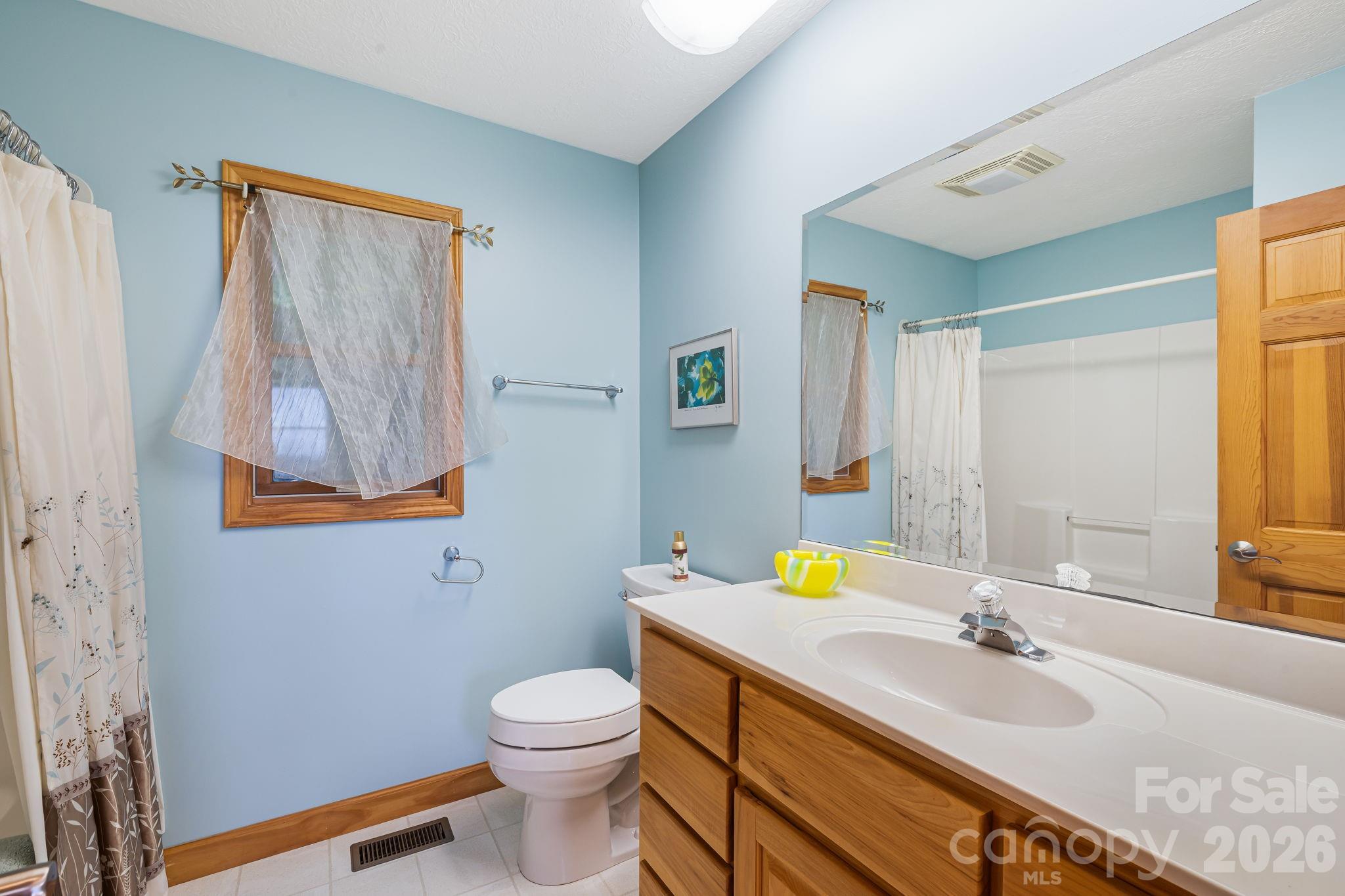 299 Basswood Road Hot Springs, NC 28743 - Photo 25 of 47