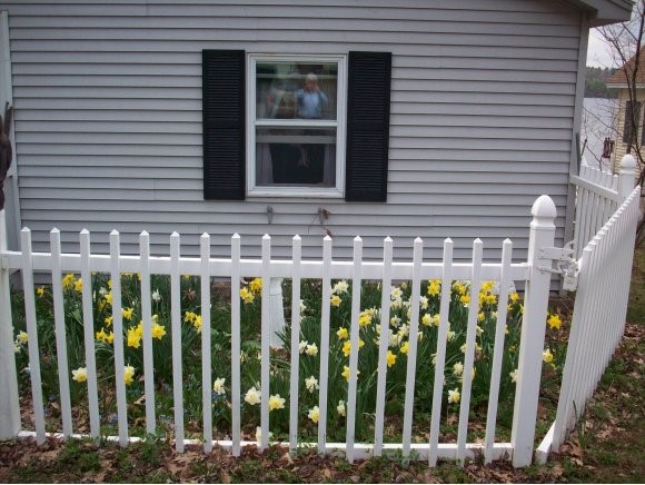 21 Gilman Shore Road Belmont, NH 03220 - Photo 10 of 27