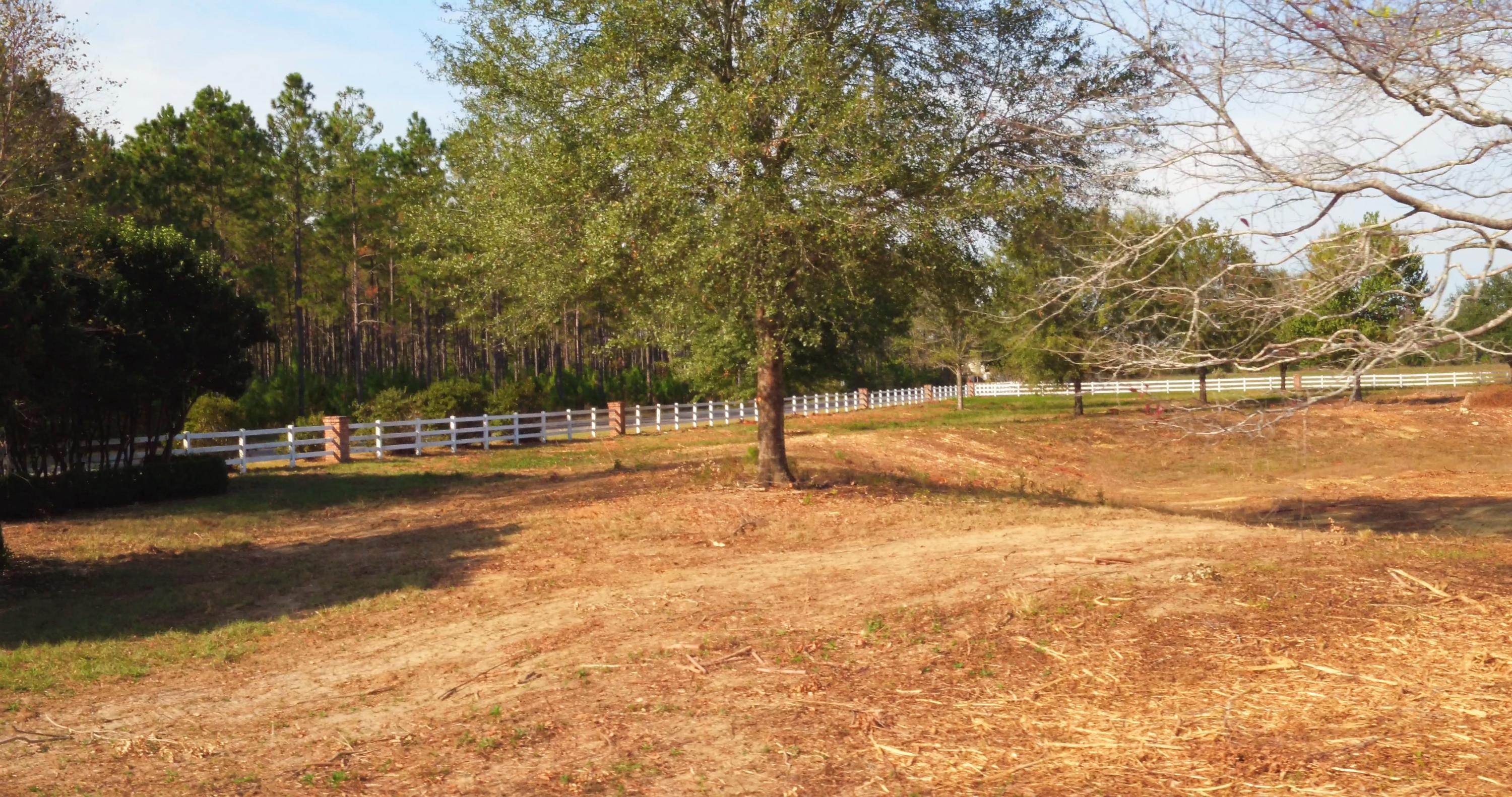 5437 Griffith Mill Road Baker, FL 32531 - Photo 11 of 100