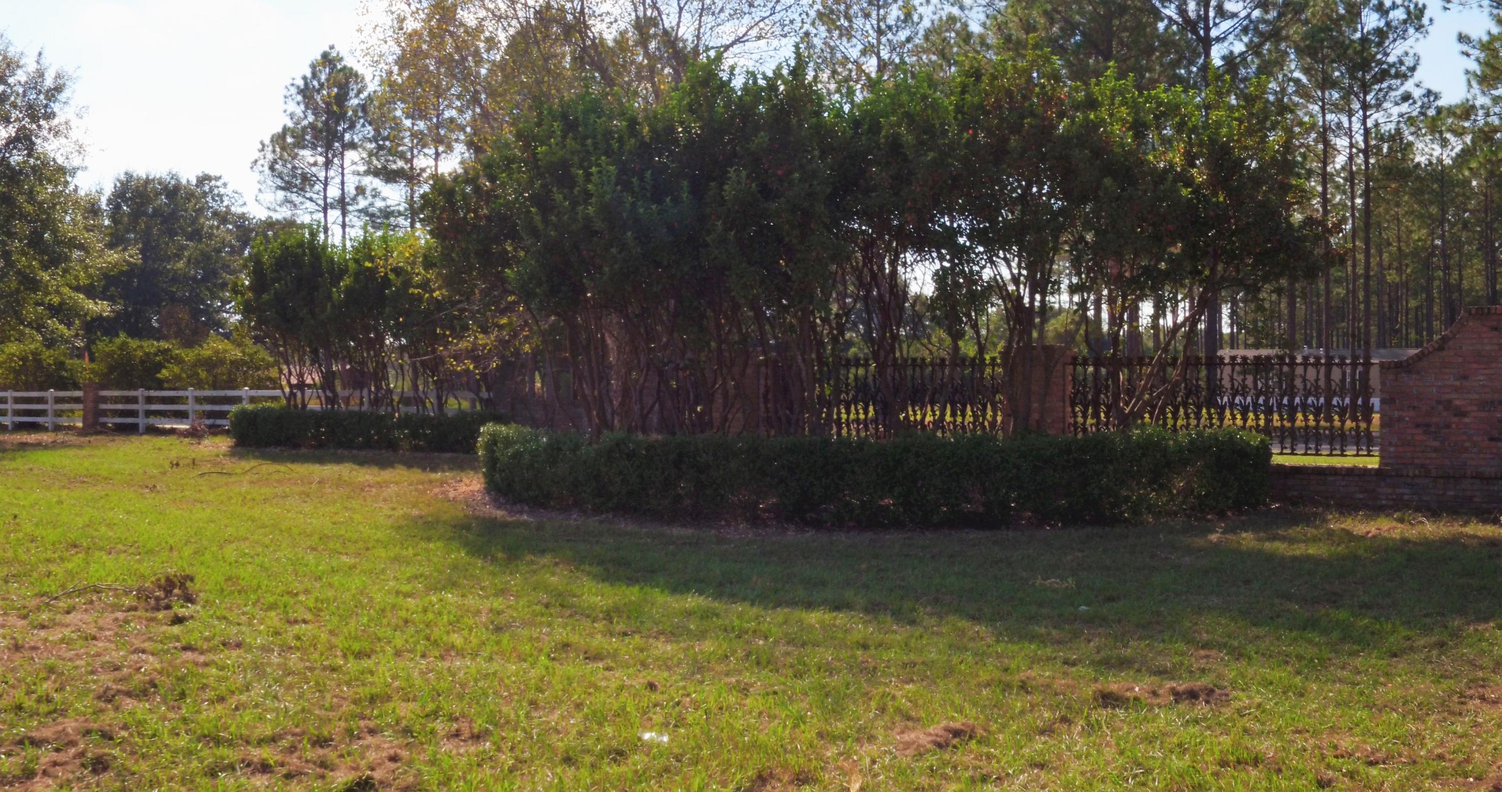 5437 Griffith Mill Road Baker, FL 32531 - Photo 12 of 100 a view of swimming pool