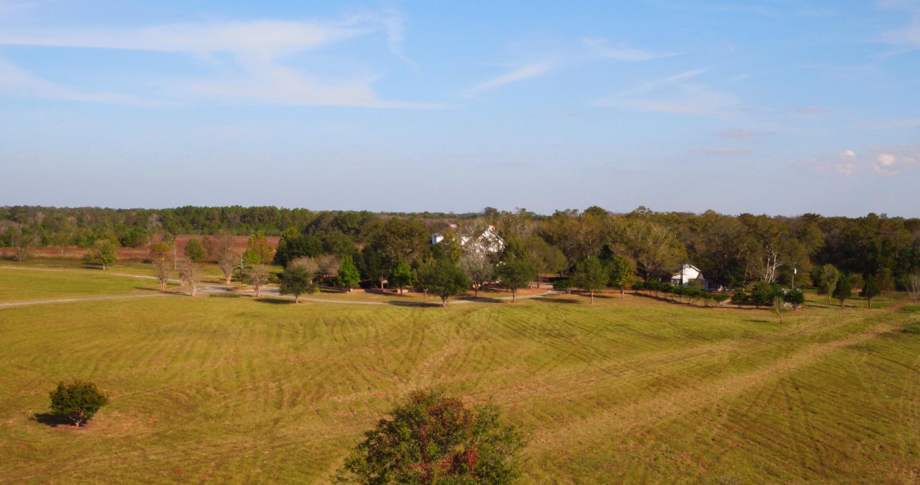 5437 Griffith Mill Road Baker, FL 32531 - Photo 13 of 100