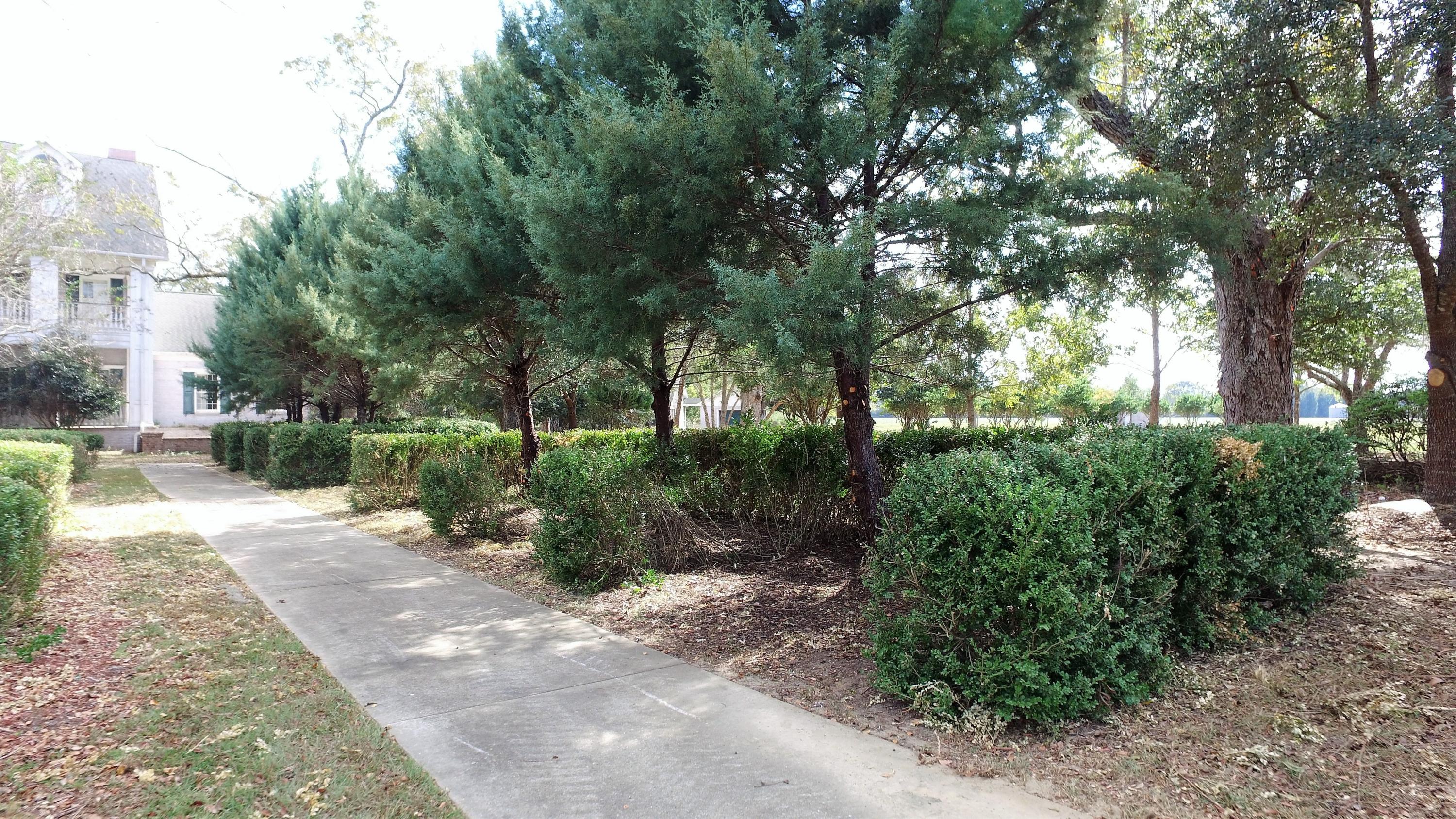 5437 Griffith Mill Road Baker, FL 32531 - Photo 19 of 100 a view of backyard with green space
