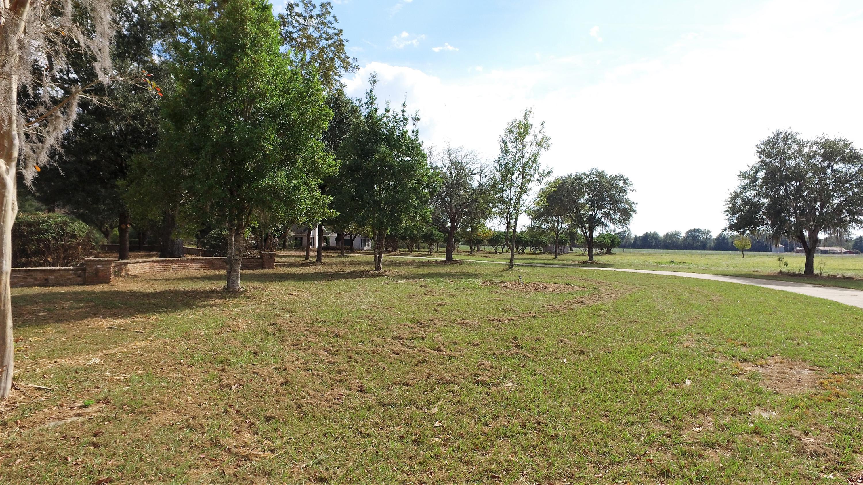 5437 Griffith Mill Road Baker, FL 32531 - Photo 27 of 100 a view of outdoor space with green field and trees