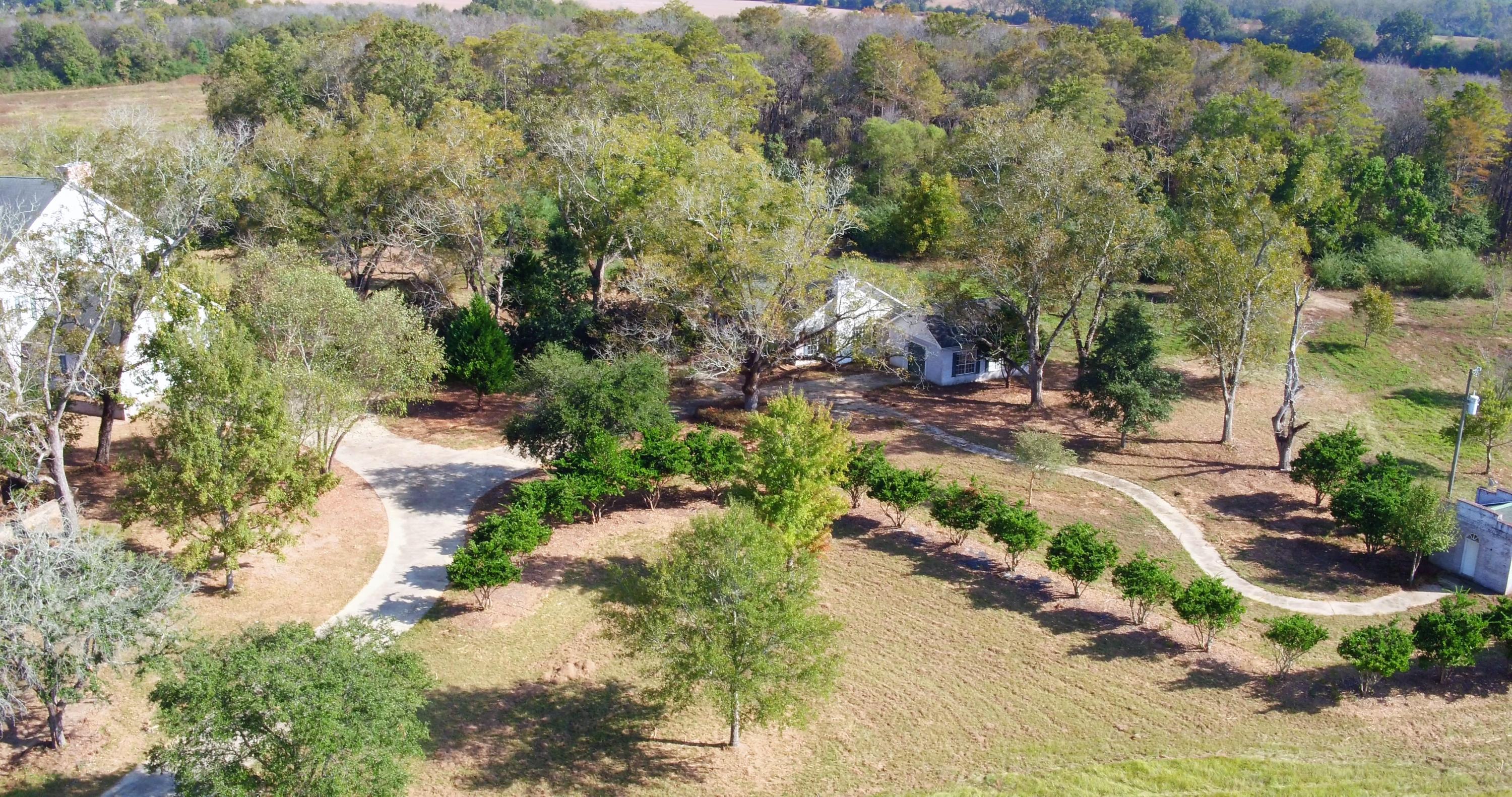 5437 Griffith Mill Road Baker, FL 32531 - Photo 64 of 100