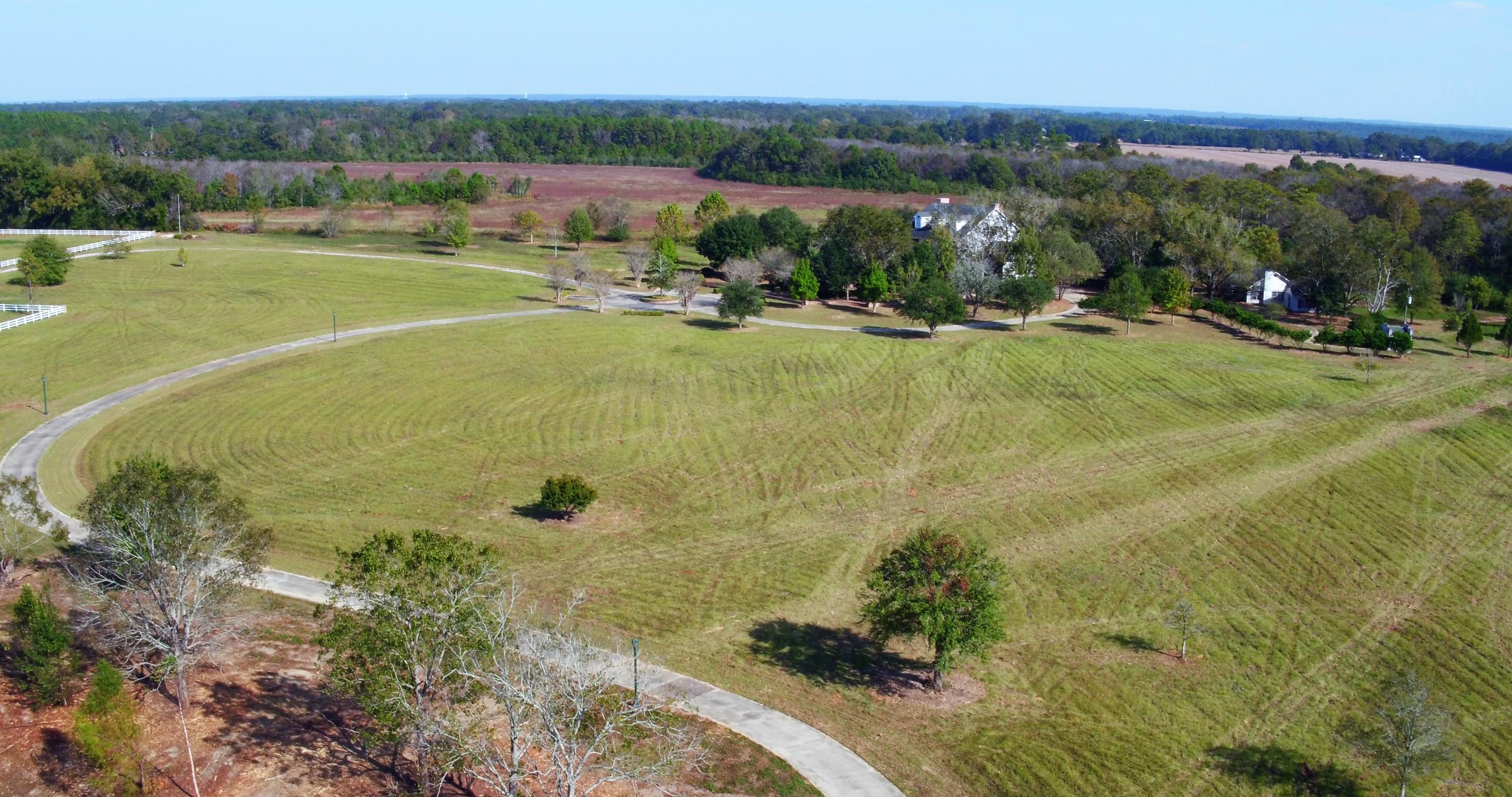 5437 Griffith Mill Road Baker, FL 32531 - Photo 76 of 100 a view of a yard with an outdoor space