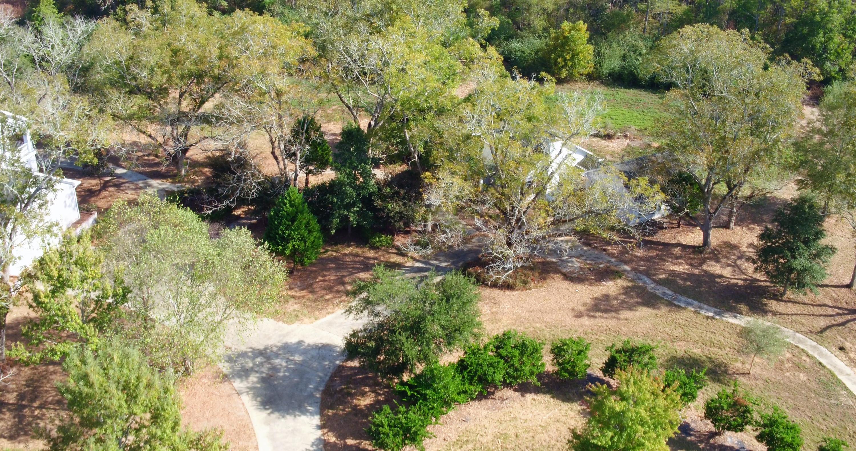 5437 Griffith Mill Road Baker, FL 32531 - Photo 81 of 100 a view of a yard with plants and large trees