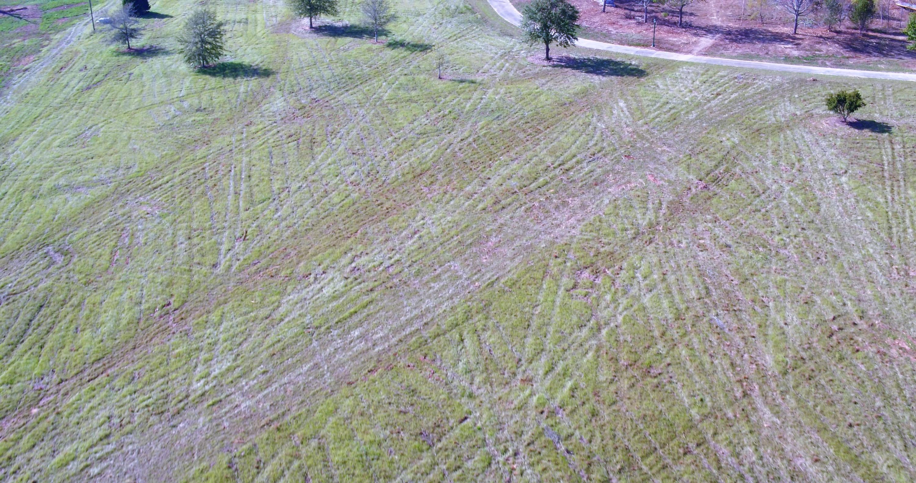 5437 Griffith Mill Road Baker, FL 32531 - Photo 83 of 100