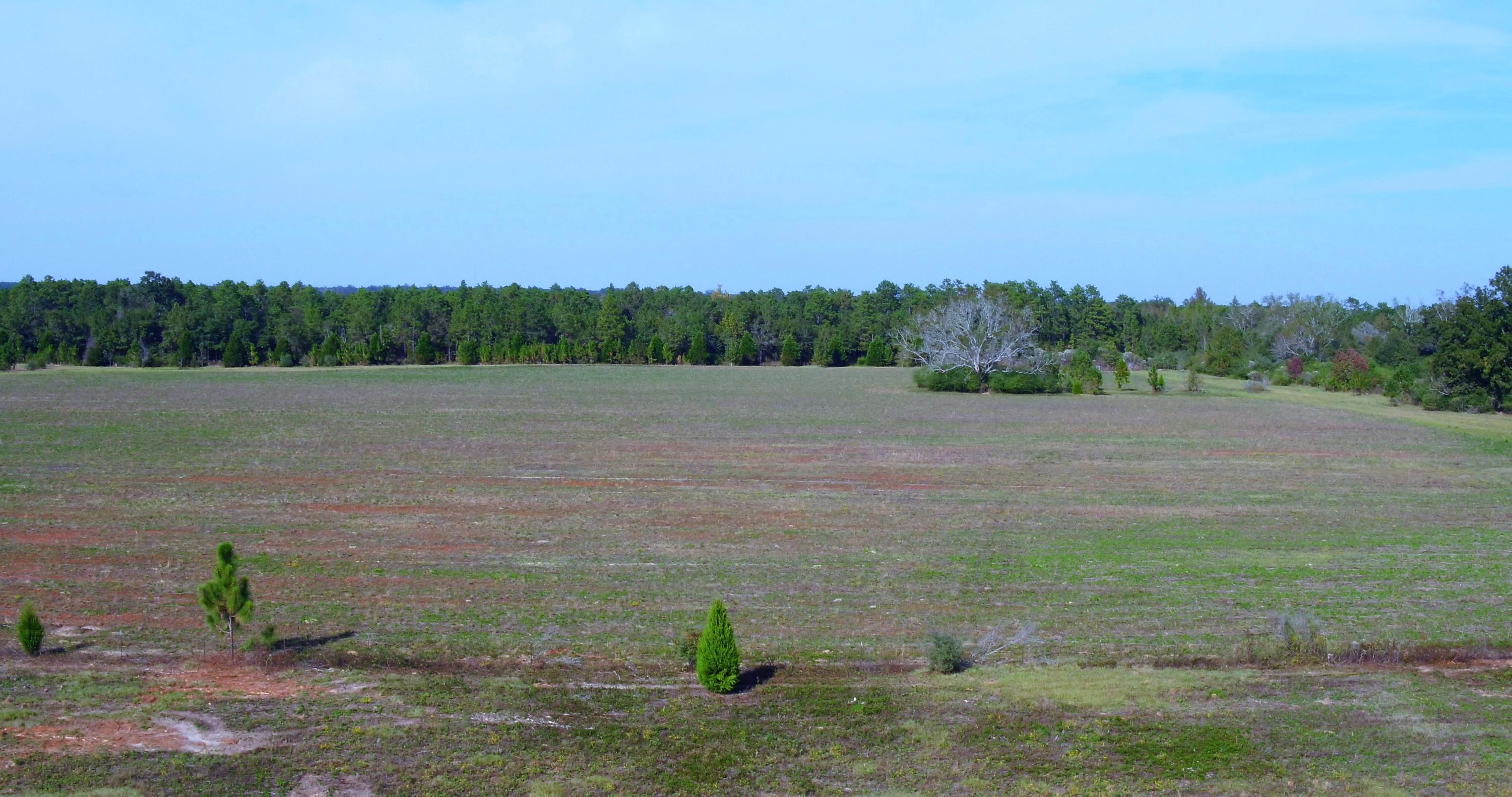 5437 Griffith Mill Road Baker, FL 32531 - Photo 89 of 100