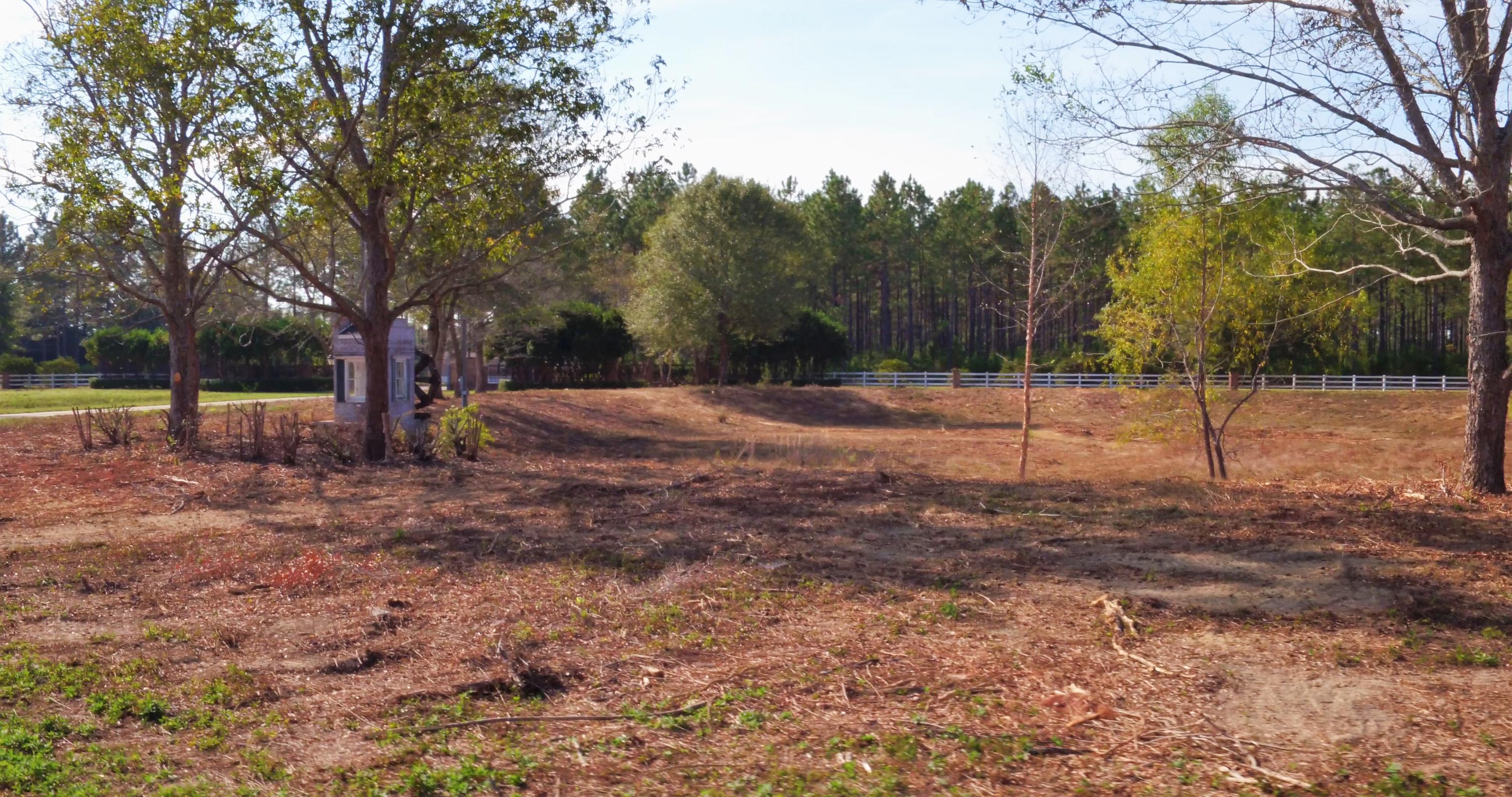 5437 Griffith Mill Road Baker, FL 32531 - Photo 10 of 100 a view of empty yard with trees