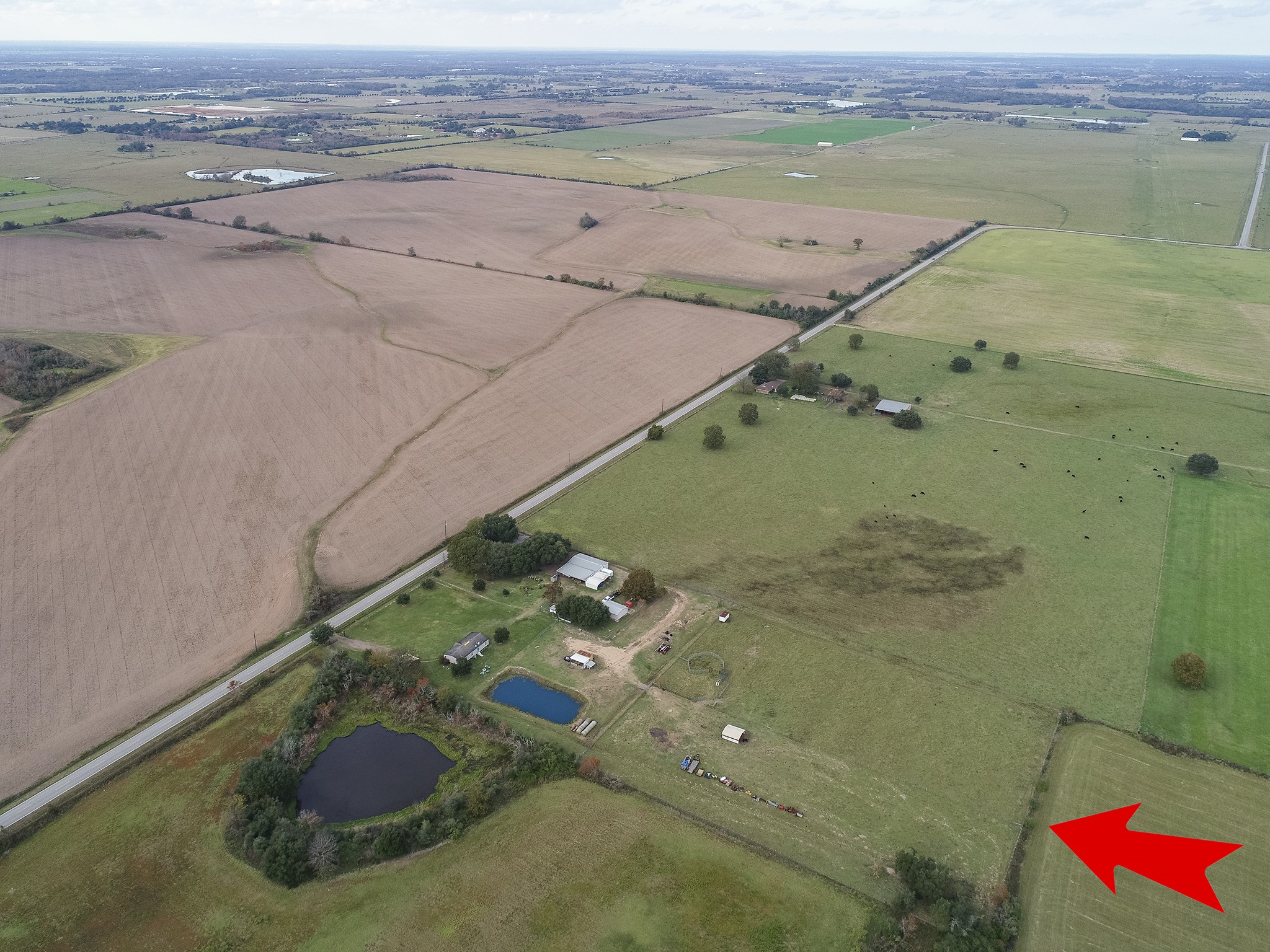 22234 Castle Road Waller, TX 77484 - Photo 13 of 50