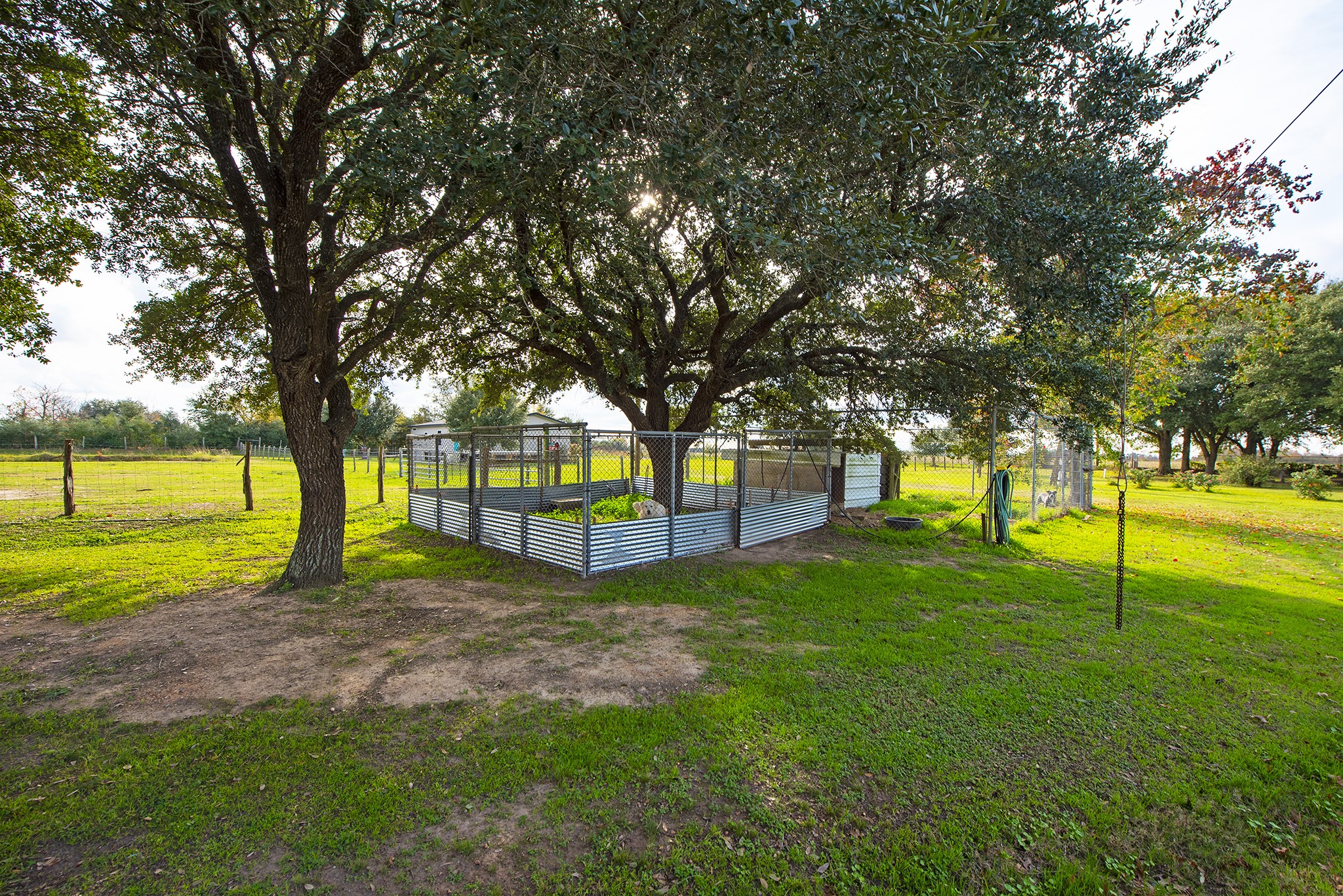 22234 Castle Road Waller, TX 77484 - Photo 47 of 50