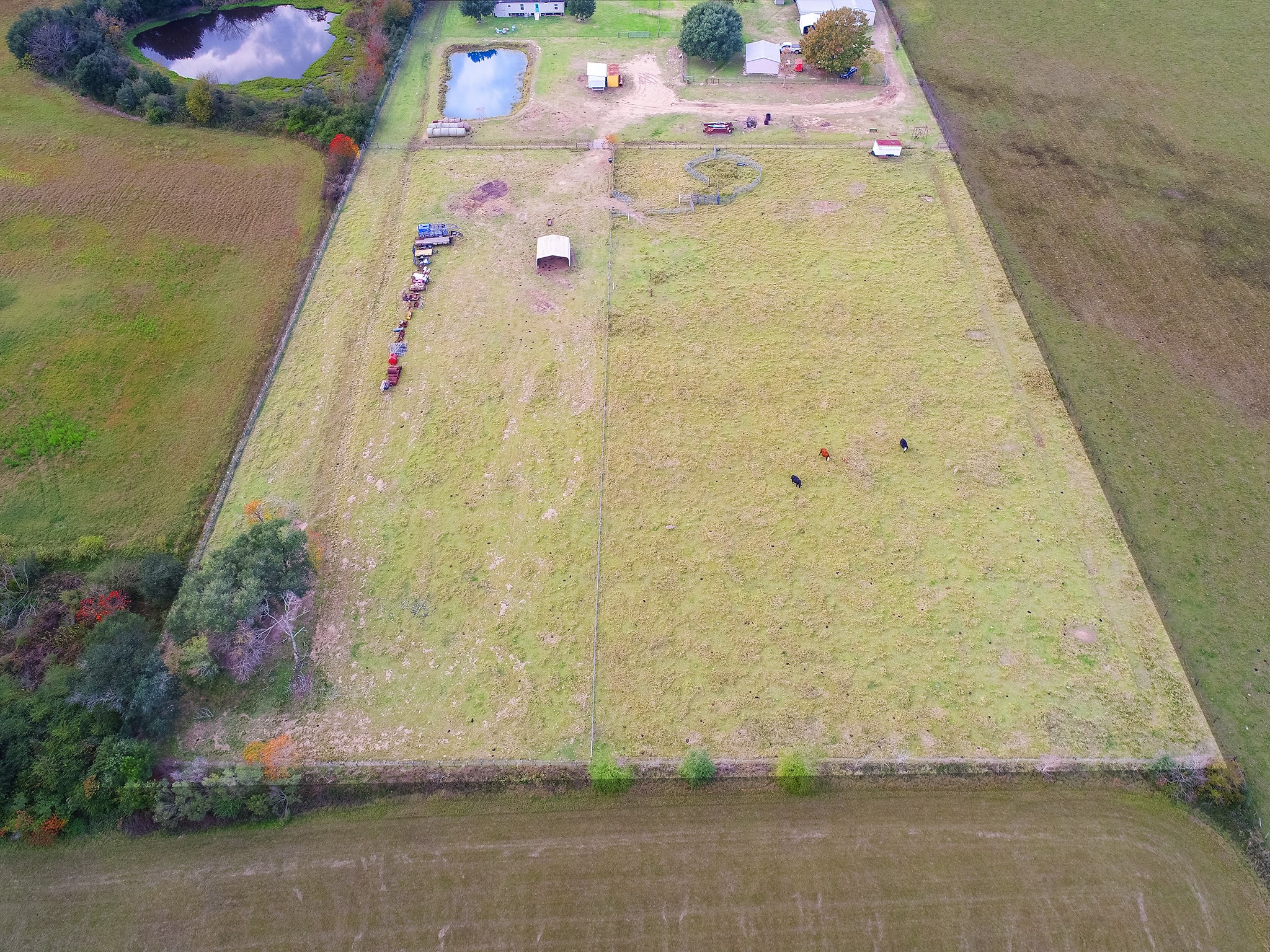 22234 Castle Road Waller, TX 77484 - Photo 5 of 50