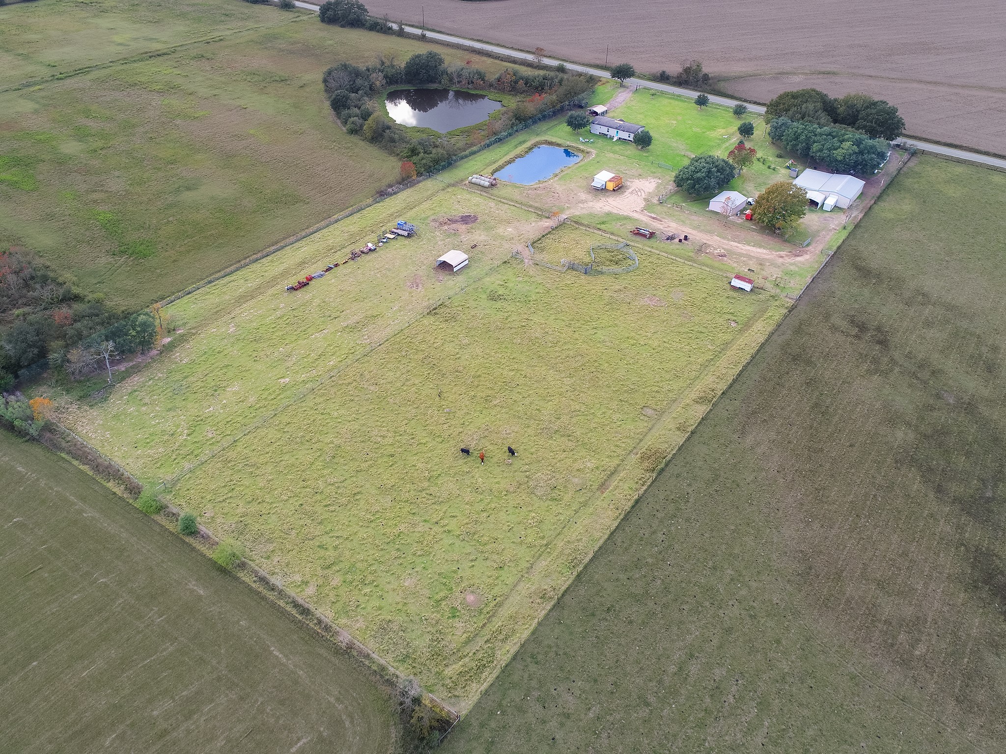 22234 Castle Road Waller, TX 77484 - Photo 8 of 50