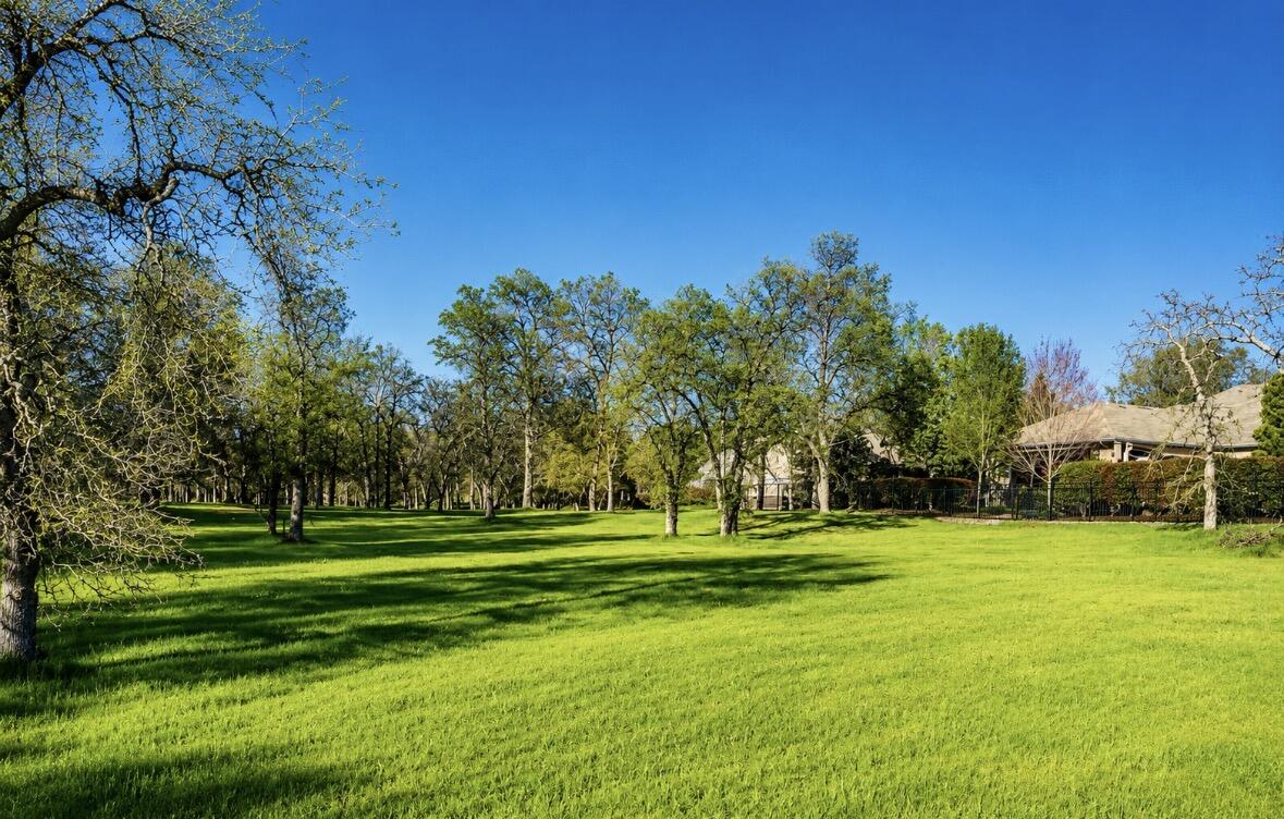 13212 Tierra Heights Road Redding, CA 96003 - Photo 5 of 12 a view of a grassy field with trees