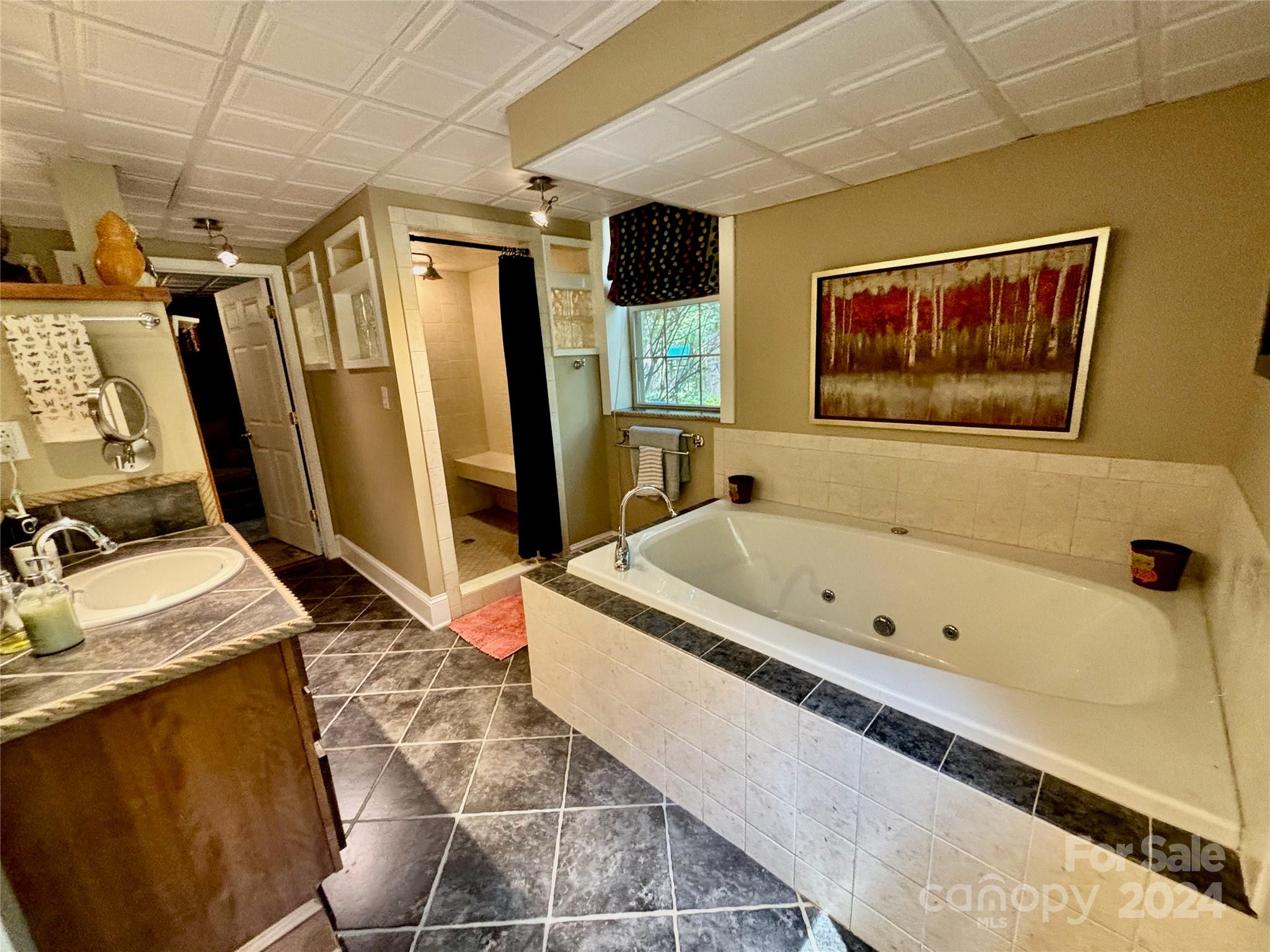 352 Chimney Rock Road Rutherfordton, NC 28139 - Photo 39 of 48 a bathroom with a tub a sink and a window