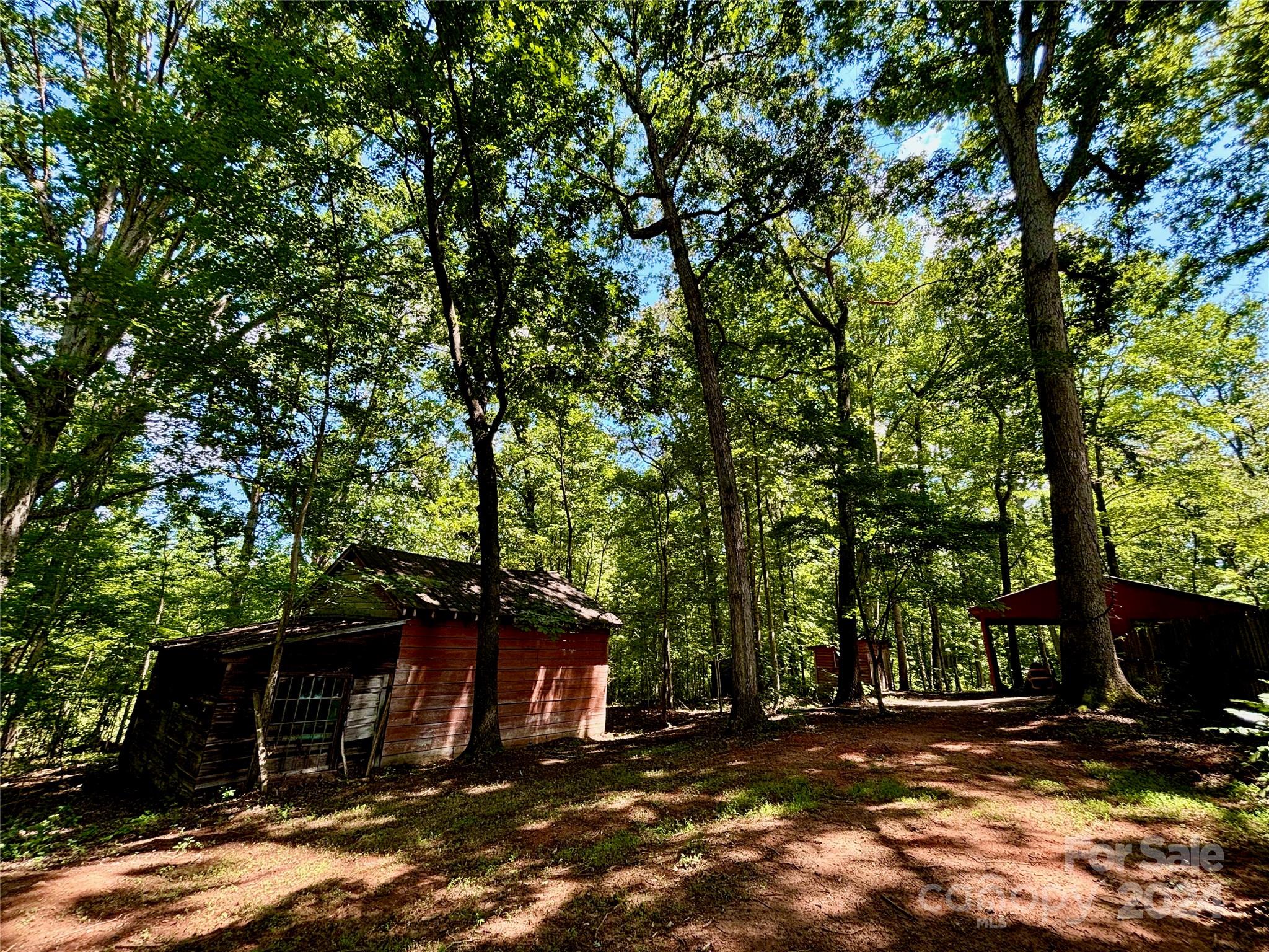 352 Chimney Rock Road Rutherfordton, NC 28139 - Photo 48 of 48 a view of a house with backyard and trees
