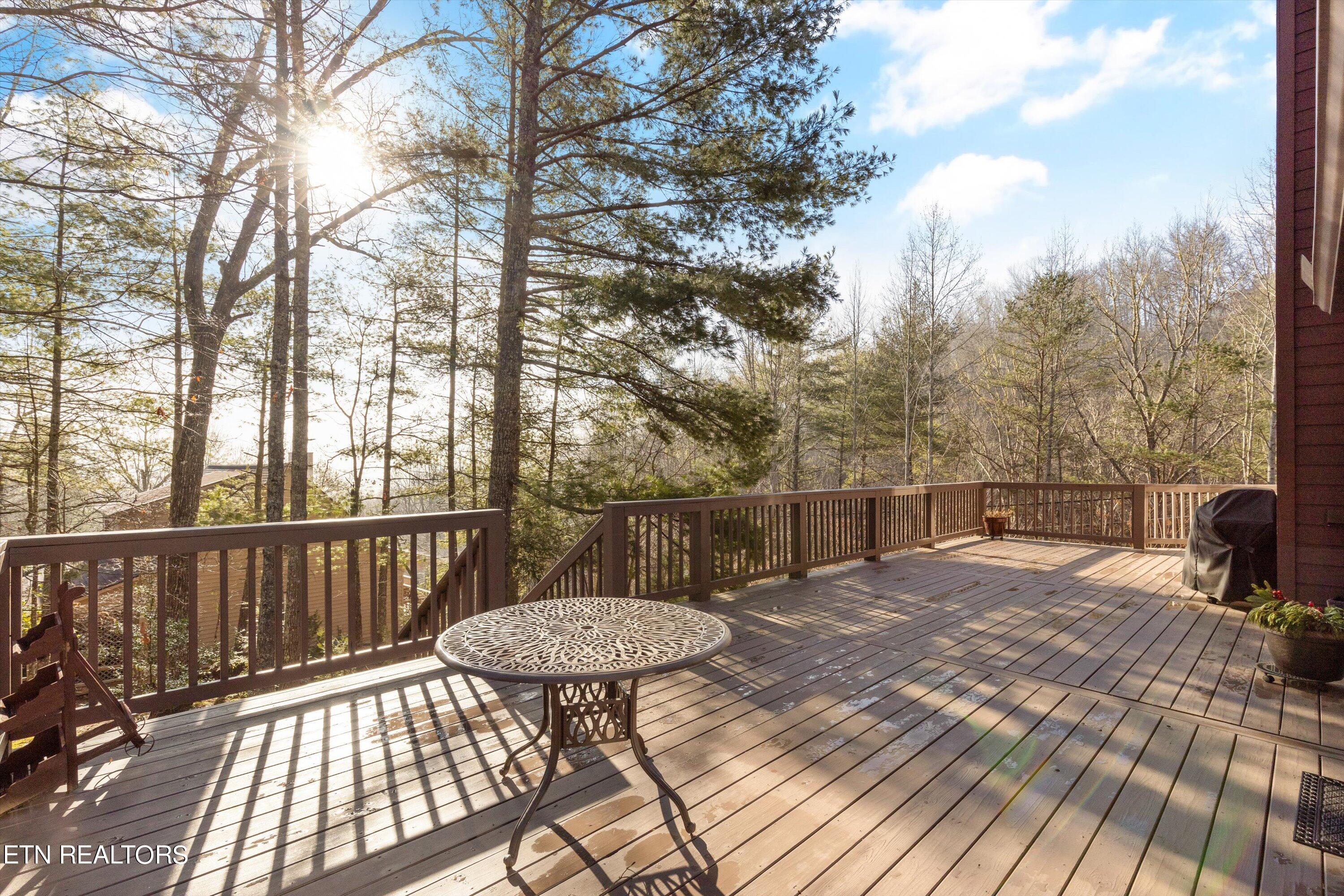 534 Nathans Nook Road Townsend, TN 37882 - Photo 30 of 44 30-534NathansNookRd24