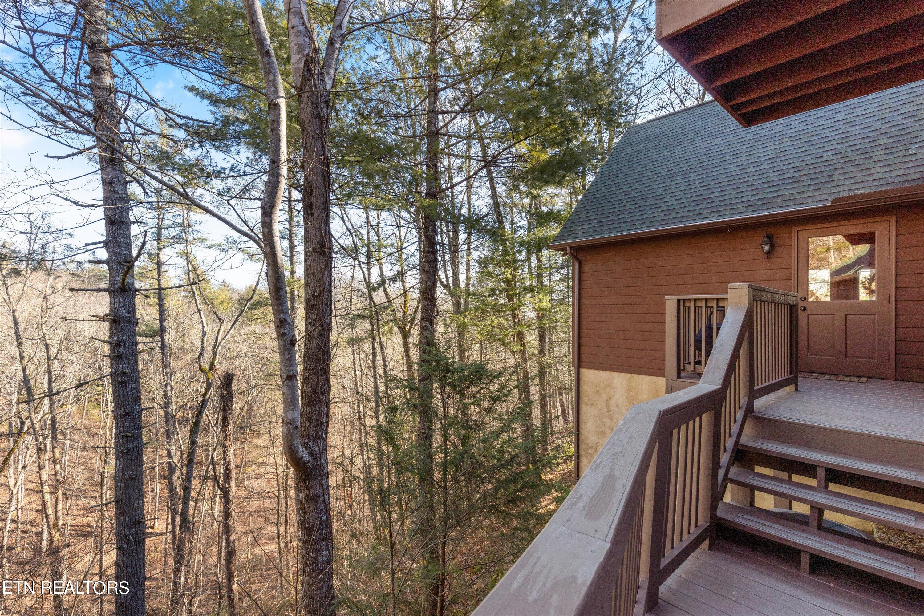 534 Nathans Nook Road Townsend, TN 37882 - Photo 32 of 44 32-534NathansNookRd27