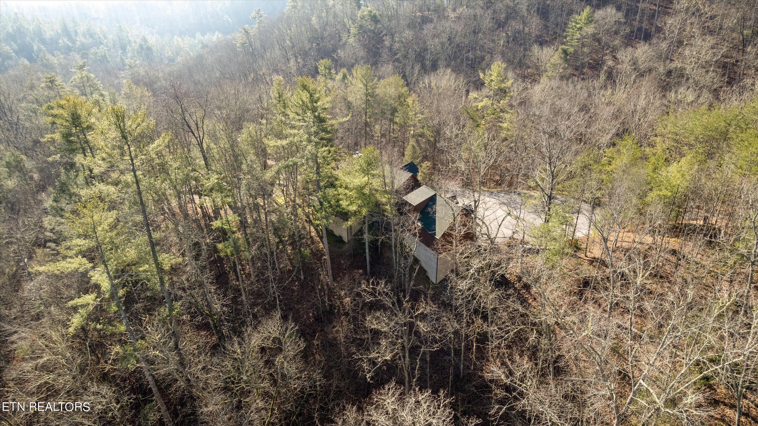 534 Nathans Nook Road Townsend, TN 37882 - Photo 39 of 44 39-534NathansNookRd42