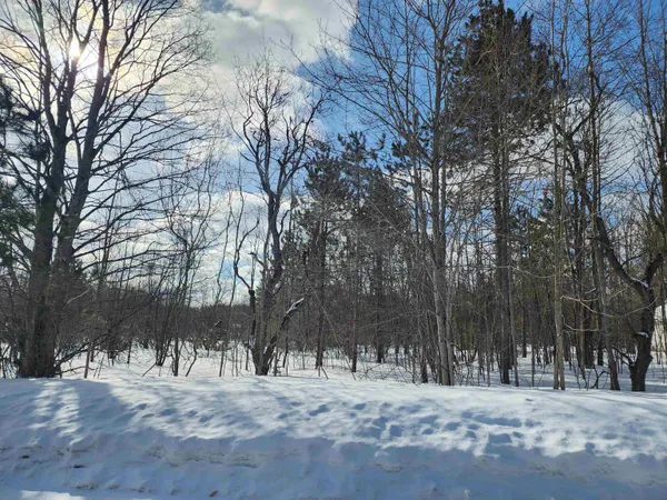$4,000 | V/l Belmont Drive, Unit LOT: 219, Mancelona, MI 49659