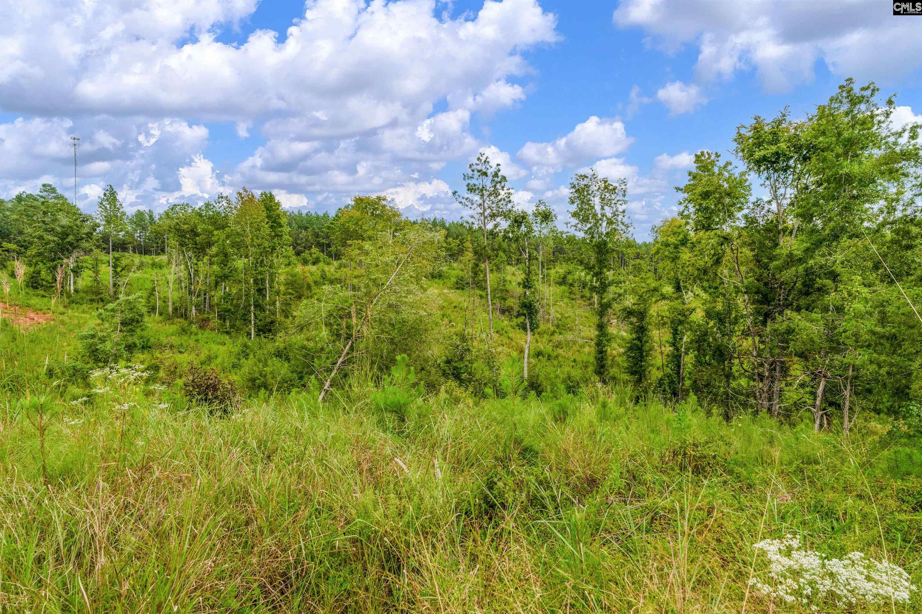 0 Penner Road, Unit 7 Jenkinsville, SC 29065 - Photo 34 of 36