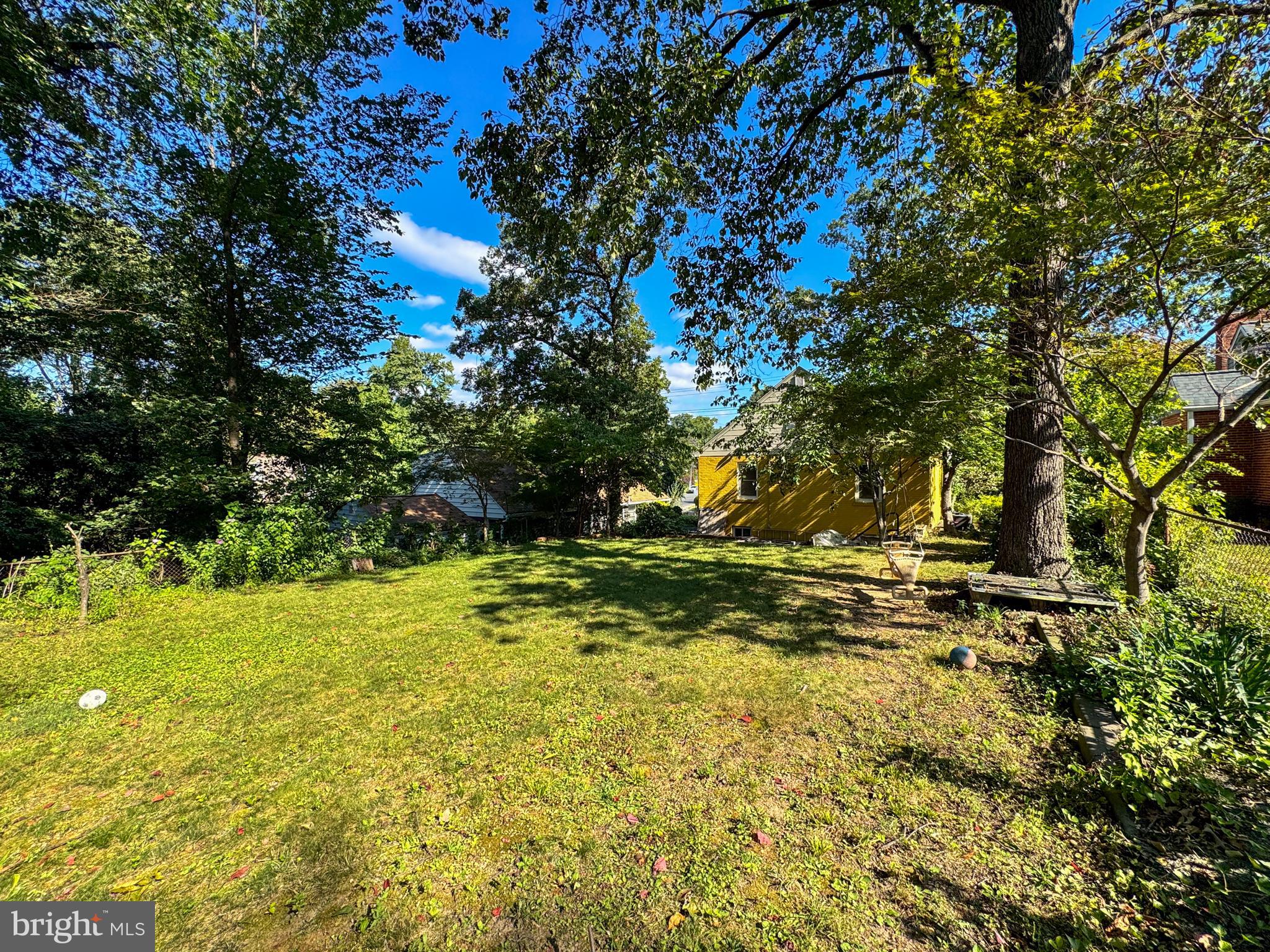 706 Forest Glen Road Silver Spring, MD 20901 - Photo 40 of 40 a view of a yard with a tree