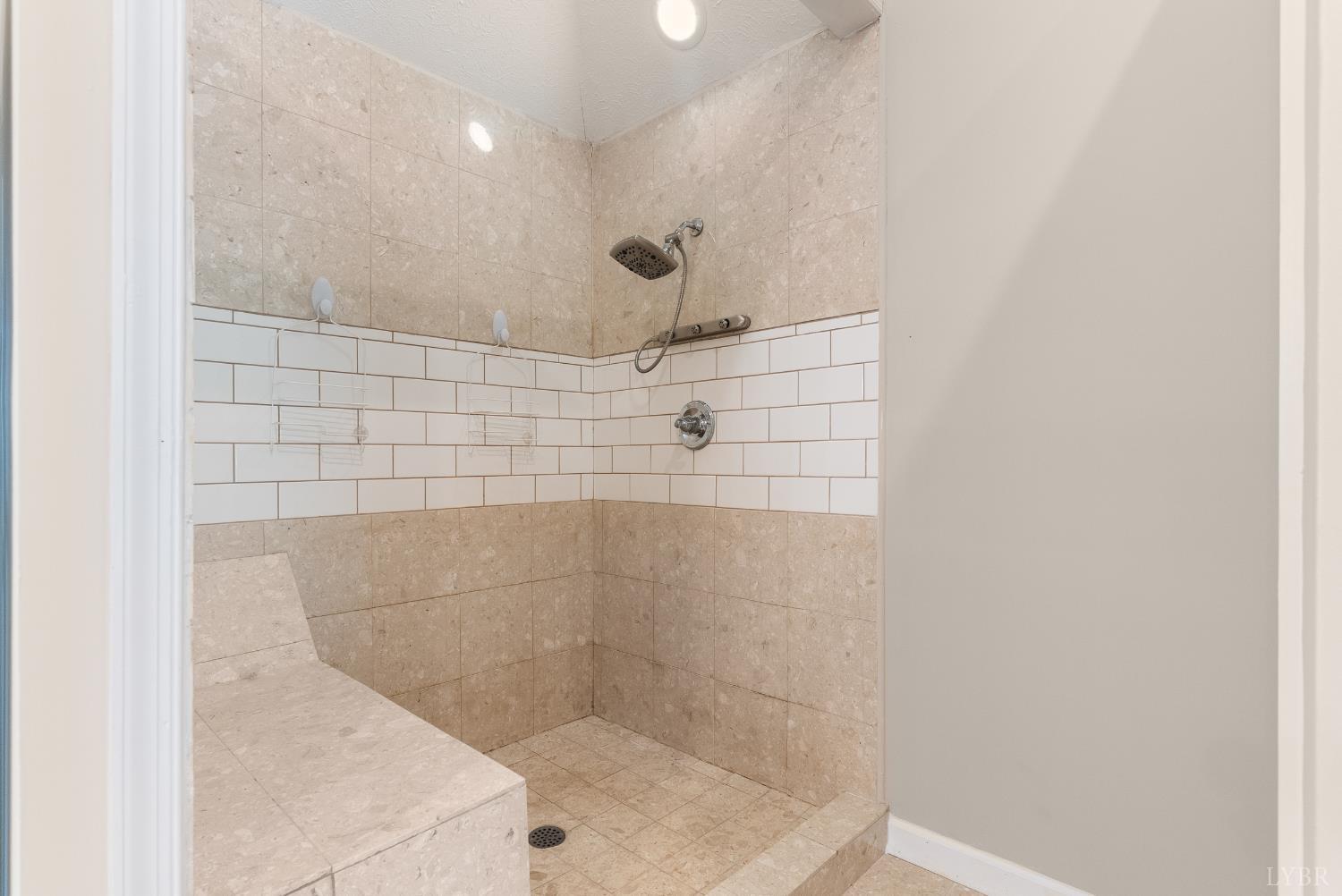 1505 Chestnut Grv Road Appomattox, VA 24522 - Photo 50 of 99 a bathroom with a shower