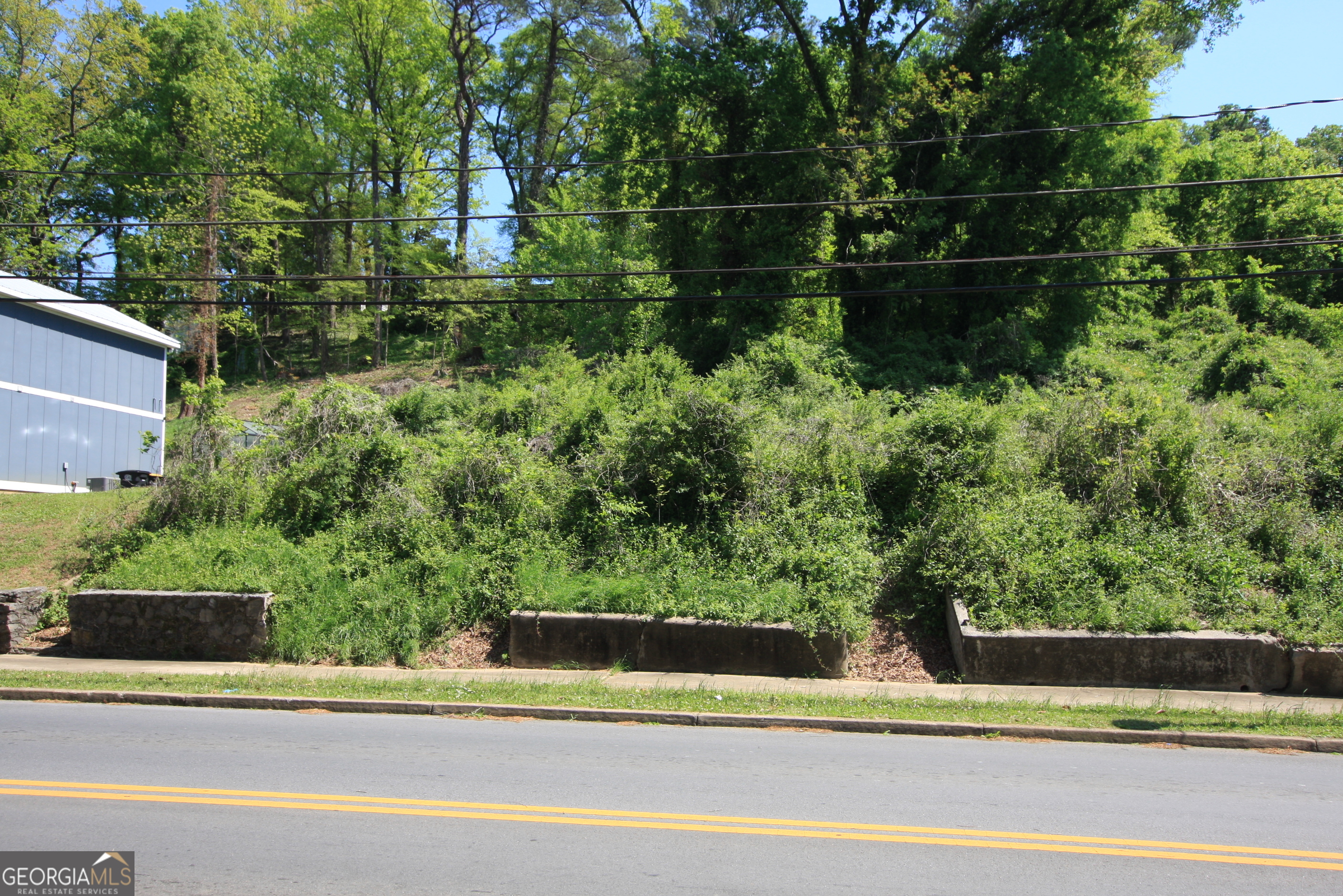 527 South Broad Street Rome, GA 30161 - Photo 4 of 5 a view of a yard and street view