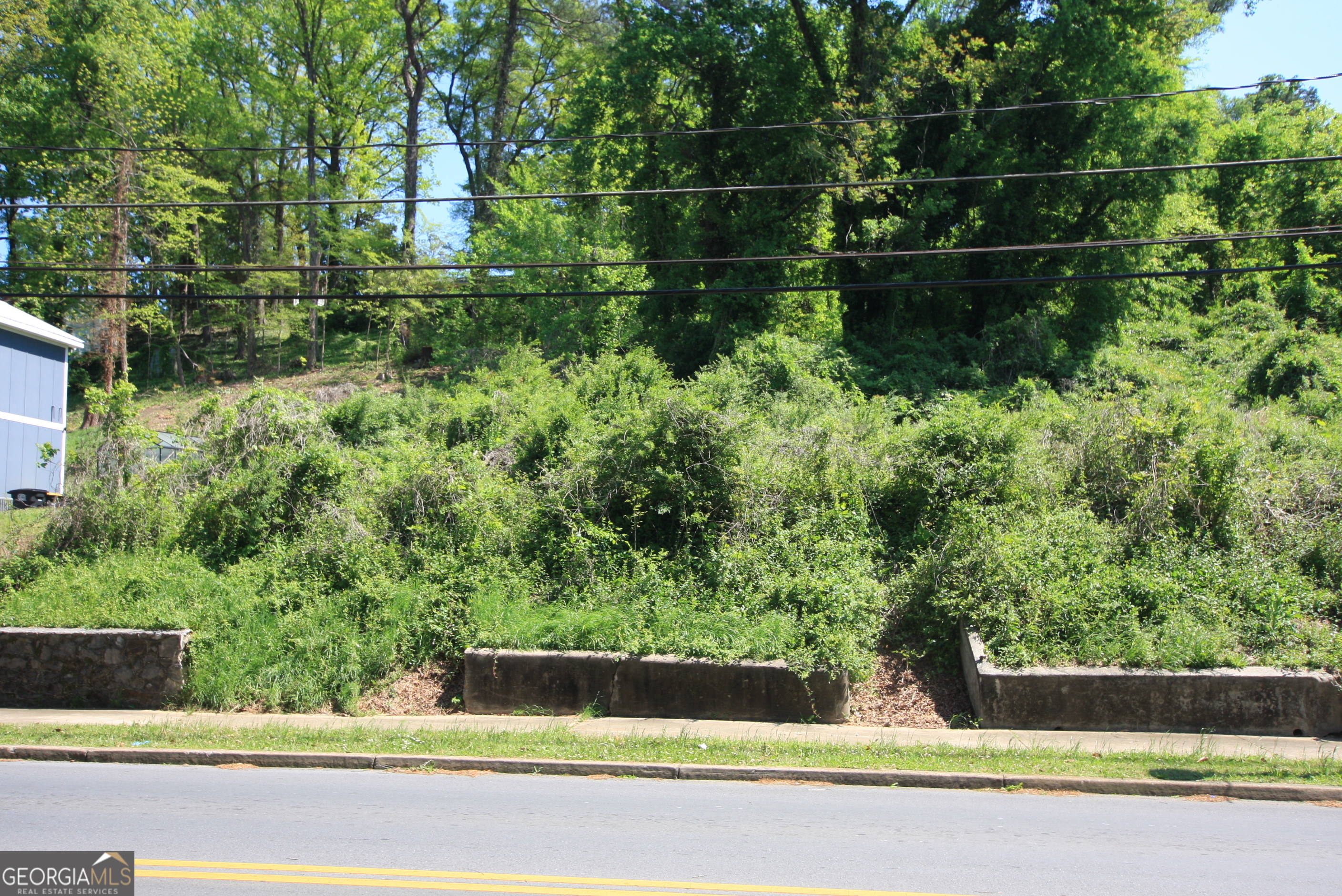 527 South Broad Street Rome, GA 30161 - Photo 5 of 5 a view of outdoor space and yard