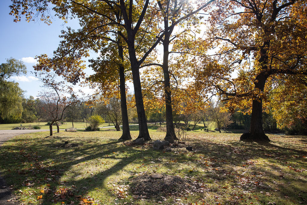 14930 West Wadsworth Road Wadsworth, IL 60083 - Photo 61 of 68 Gallery Image 61
