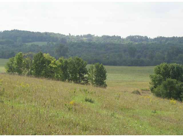 0 Johnson Road, Unit LOT 6 North Lewisburg, OH 43060 - Photo 1 of 7
