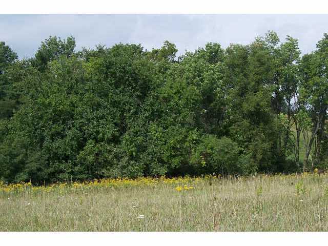 0 Johnson Road, Unit LOT 6 North Lewisburg, OH 43060 - Photo 3 of 7