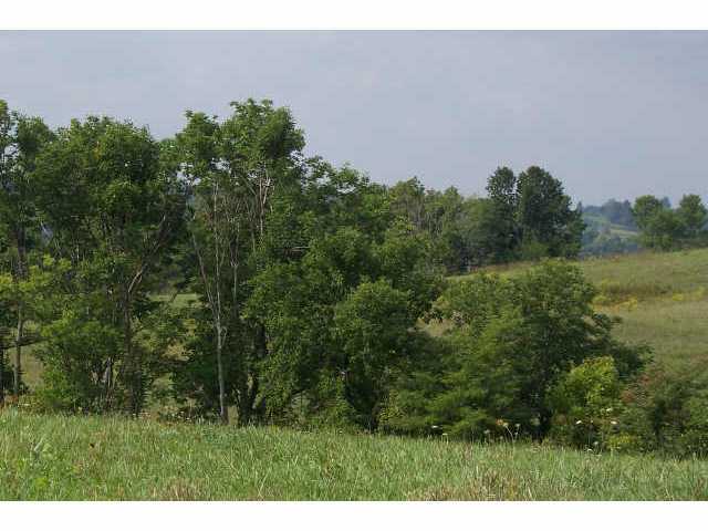 0 Johnson Road, Unit LOT 6 North Lewisburg, OH 43060 - Photo 4 of 7