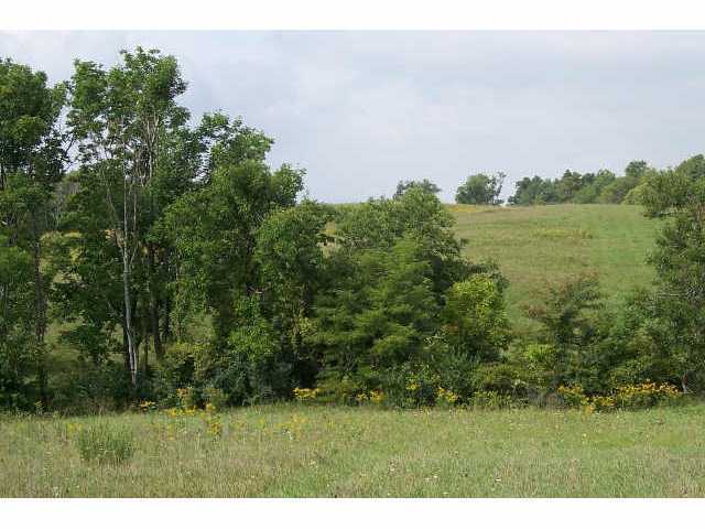 0 Johnson Road, Unit LOT 6 North Lewisburg, OH 43060 - Photo 5 of 7