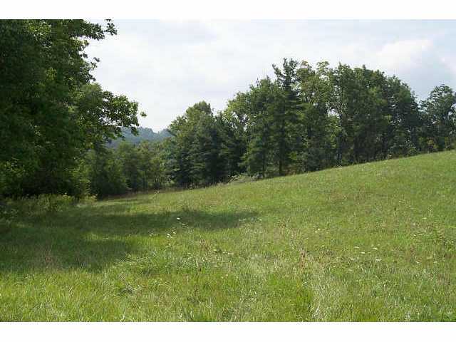 0 Johnson Road, Unit LOT 6 North Lewisburg, OH 43060 - Photo 6 of 7