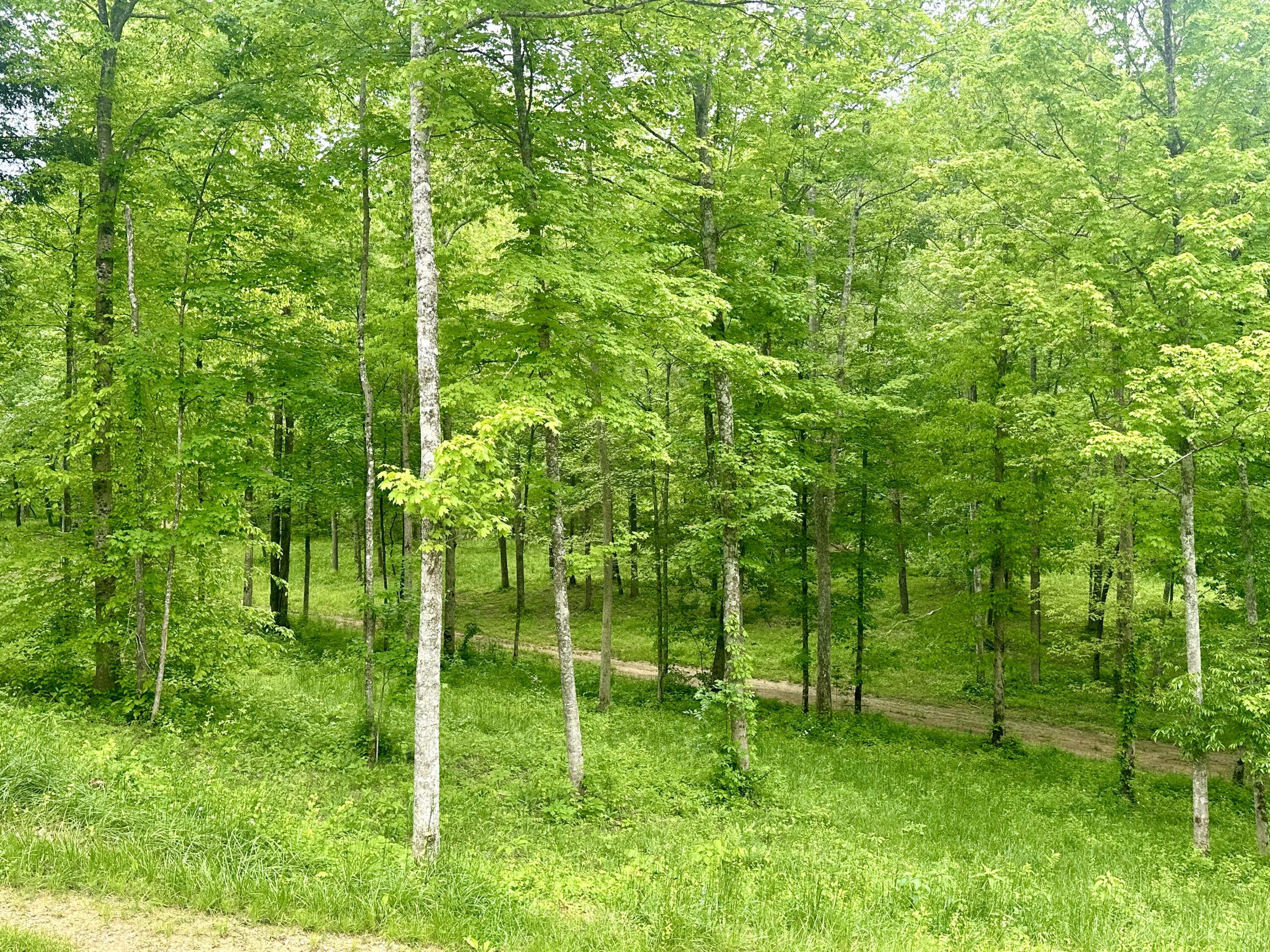 1815 Baldwin Road McKee, KY 40447 - Photo 52 of 68 IMG_0403