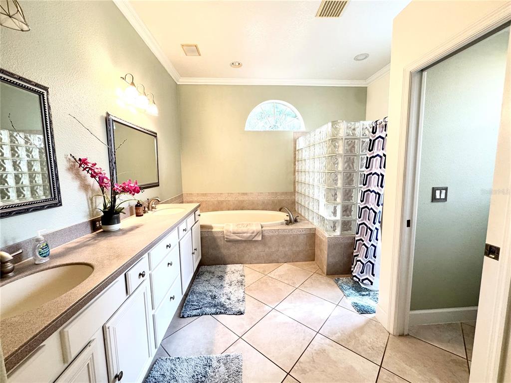 19135 Timber Reach Road Tampa, FL 33647 - Photo 15 of 56 Gallery Image 15