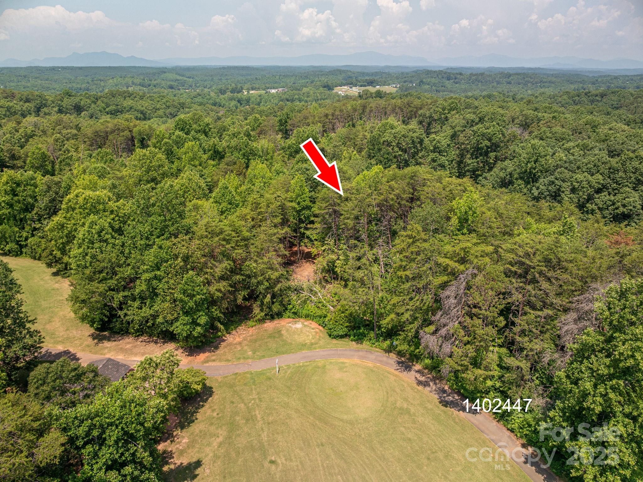 0 Washburn Lane Rutherfordton, NC 28139 - Photo 4 of 45